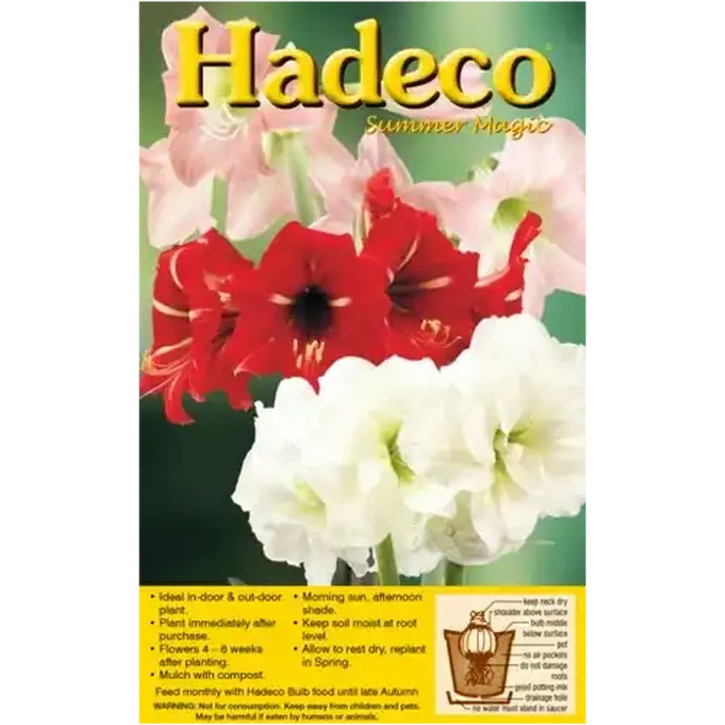 Image of Hadeco Assorted Sonatini Bulbs 3 Pack (Type May Vary)