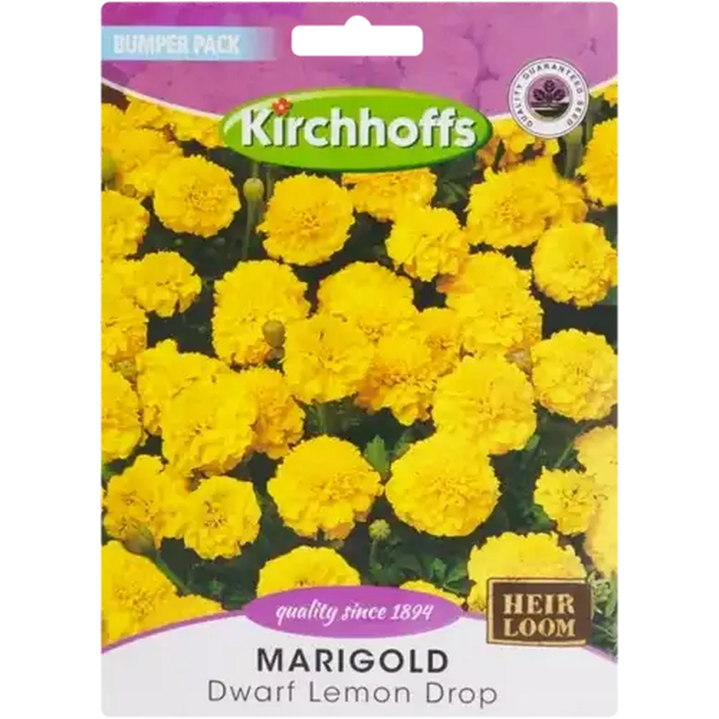 Image of Kirchhoffs Dwarf Lemon Drop Marigold Seeds