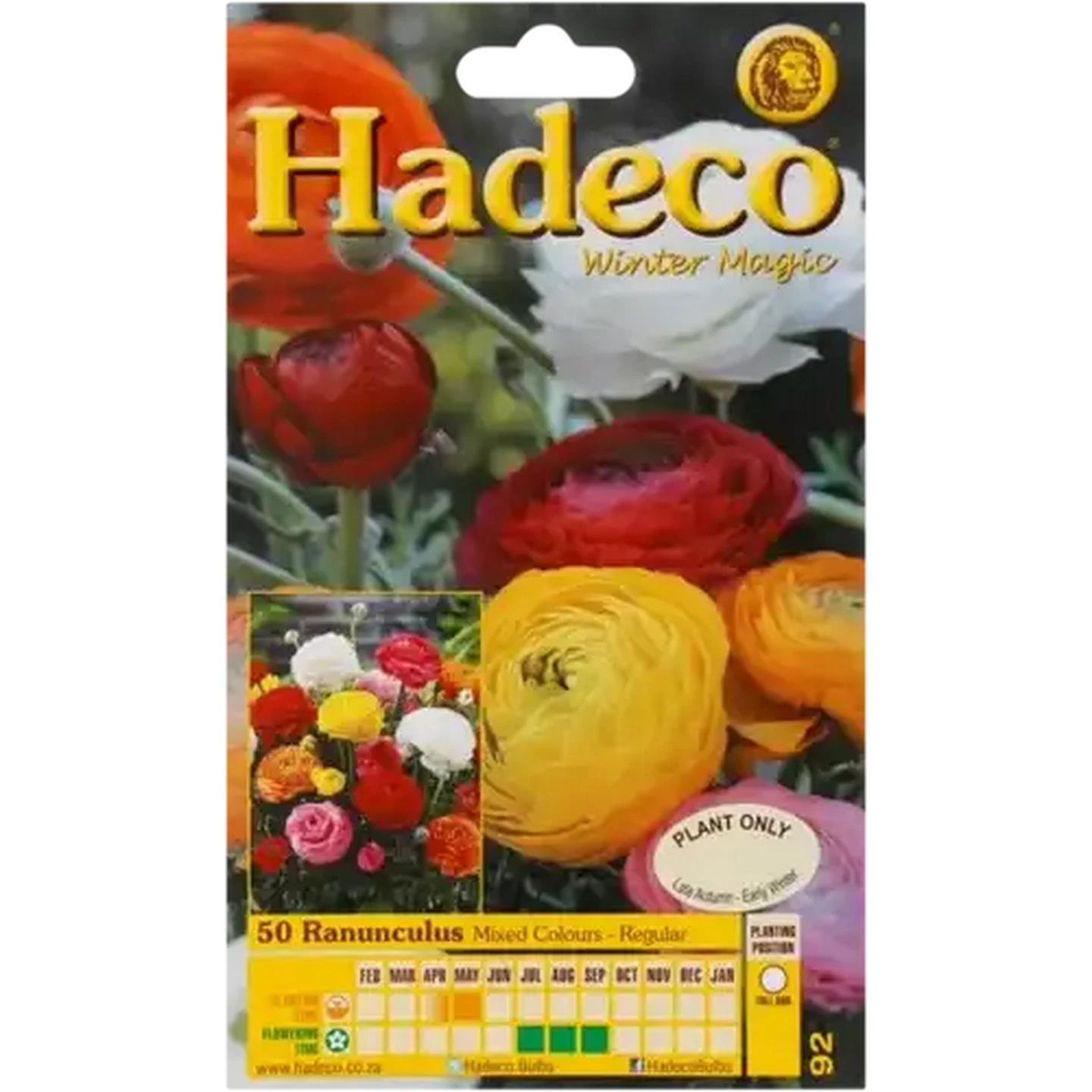 Image of Hadeco Mixed Ranunculus Bulbs 50 Pack