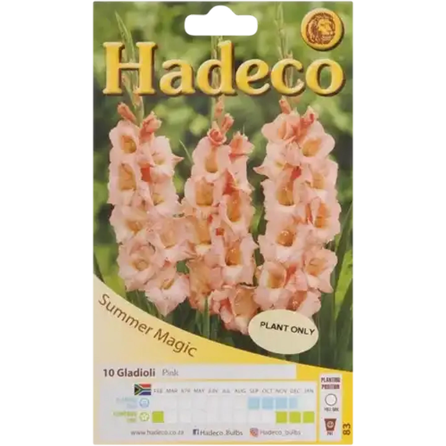 Image of Hadeco Summer Magic Pink Gladioli Bulbs 10 Pack