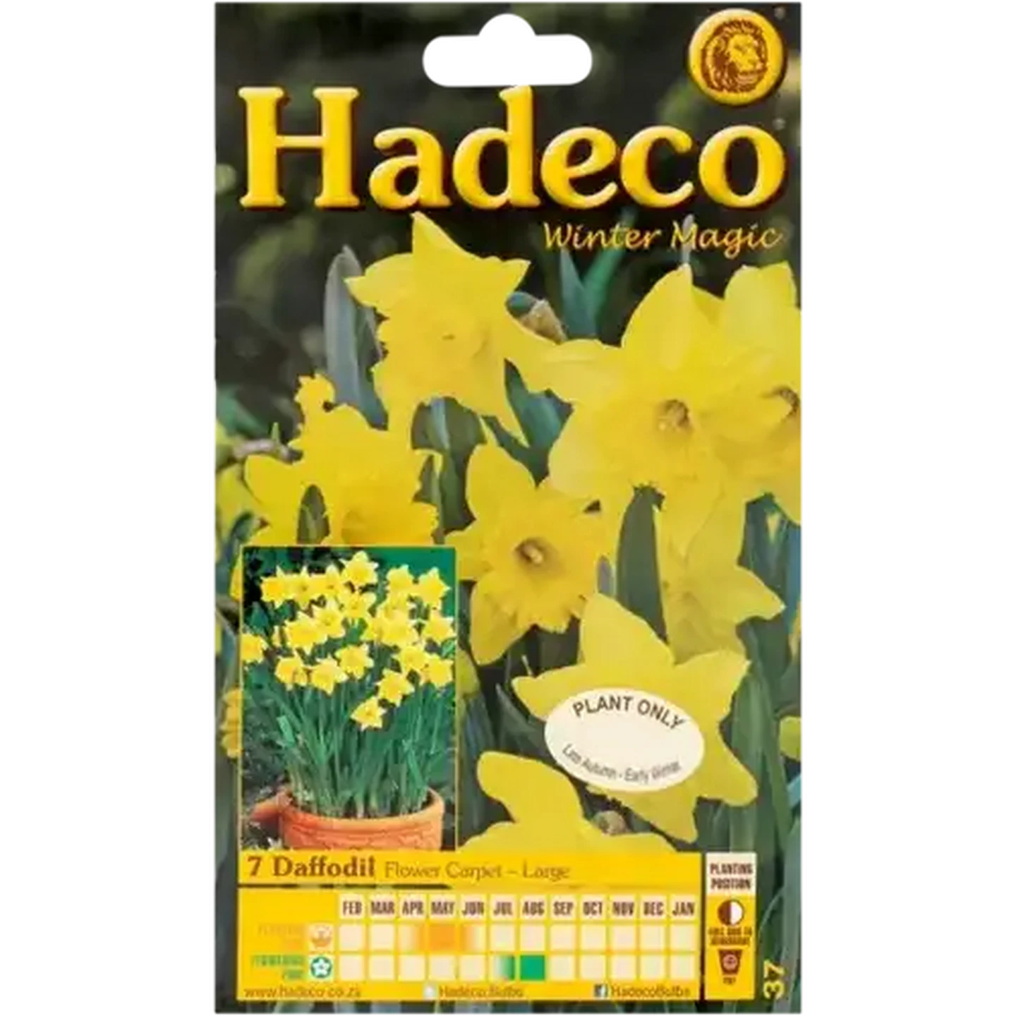 Image of Hadeco Daffodil Flower Carpet Bulbs 7 Pack