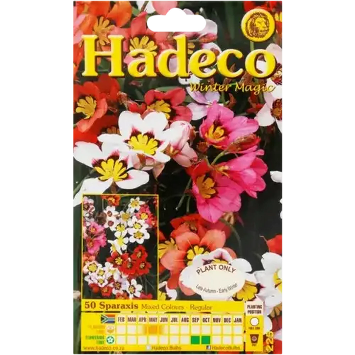 Image of Hadeco Mixed Spraxis Bulbs 50 Pack