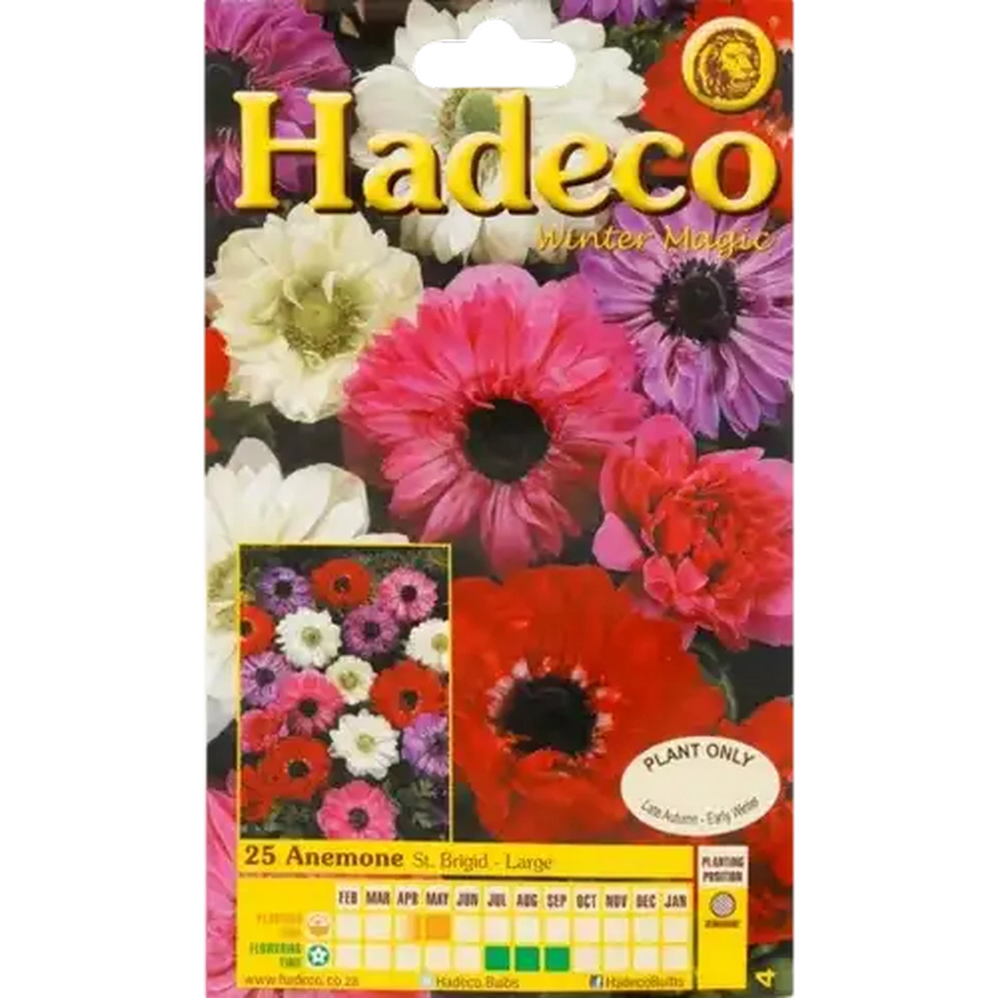 Image of Hadeco Winter Magic Double Mixed St. Brigid Anemone Bulbs 25 Pack