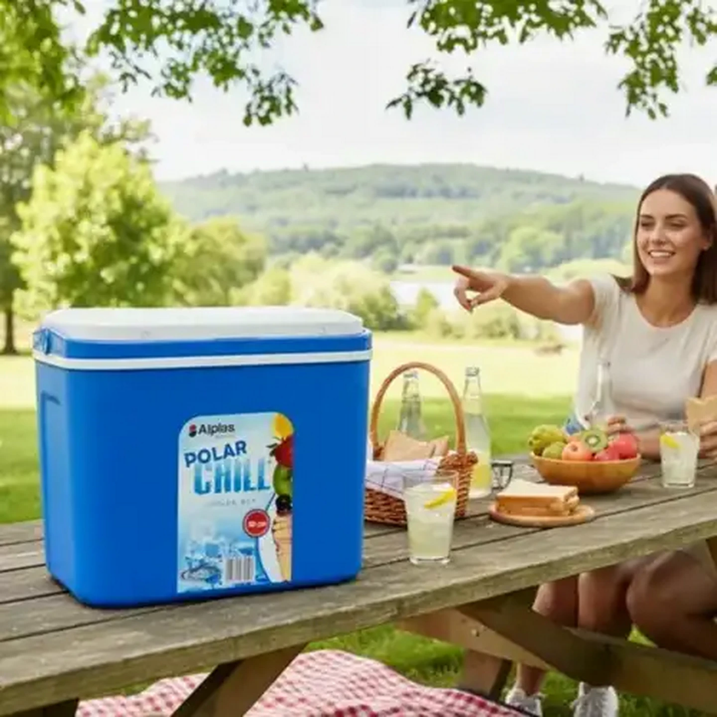 Image of Alplas Plastics Polar Chill Cooler Box 10L