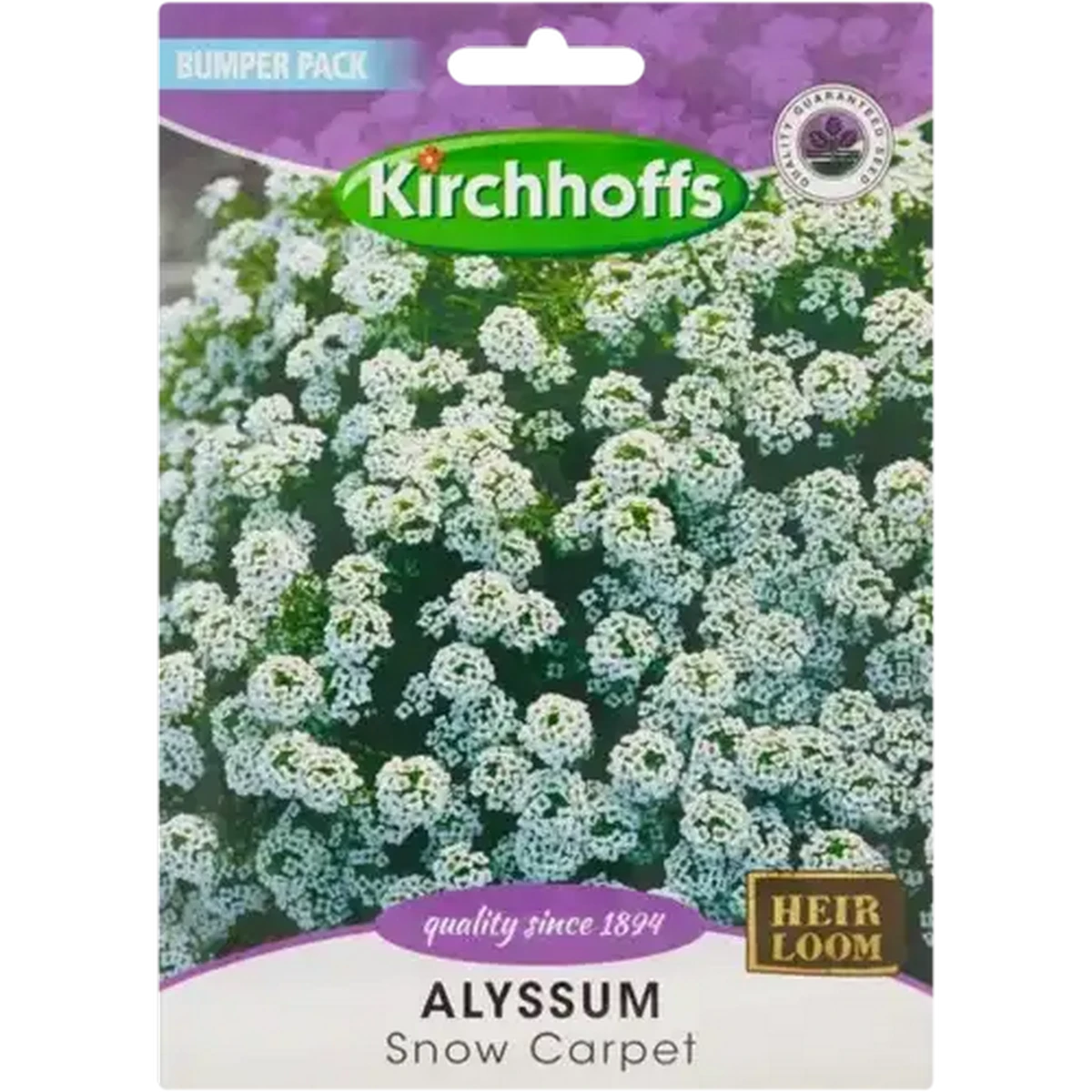 Checkers Sixty60 | Kirchhoffs Alyssum Snow Carpet Flower Seeds