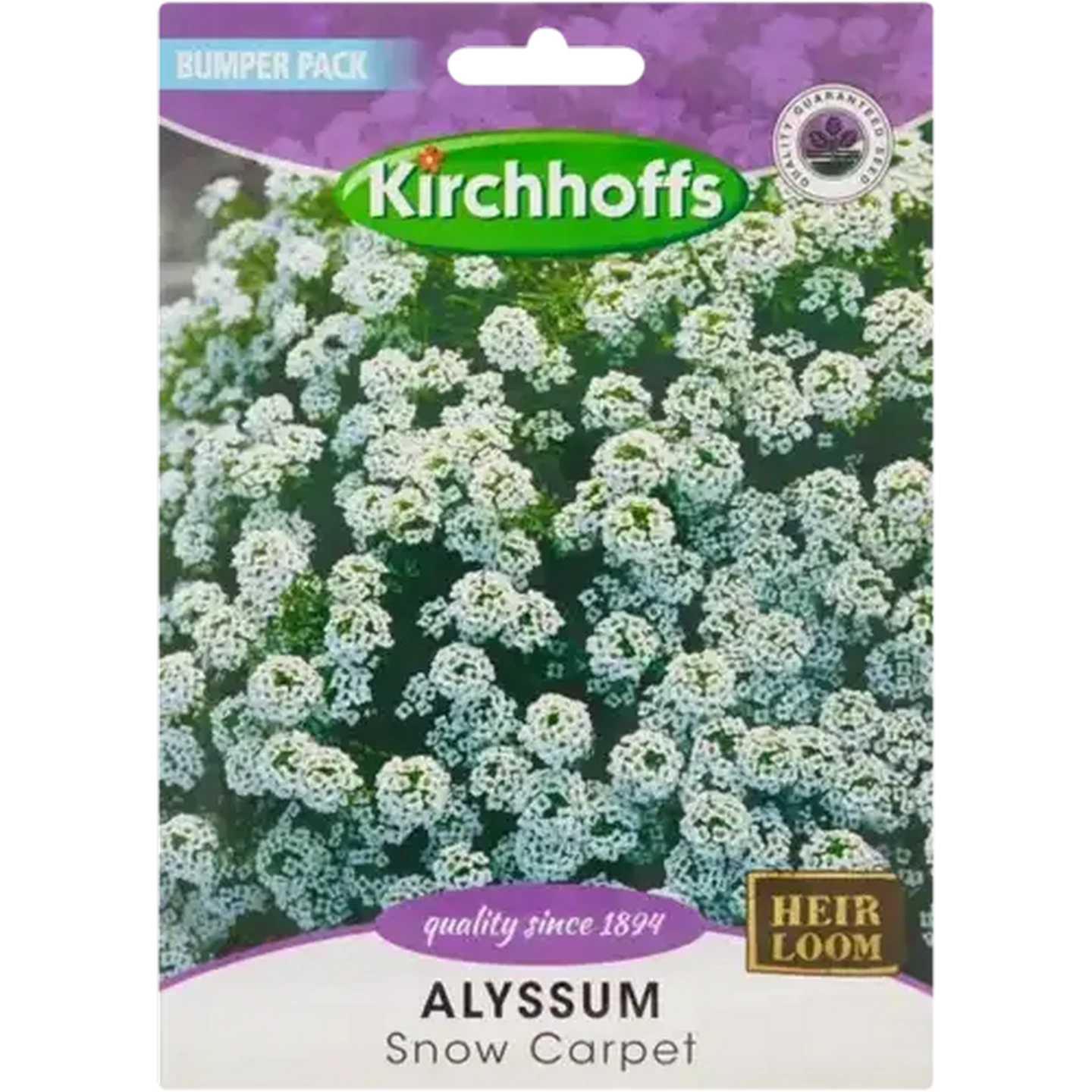Checkers Sixty60 | Kirchhoffs Alyssum Snow Carpet Flower Seeds