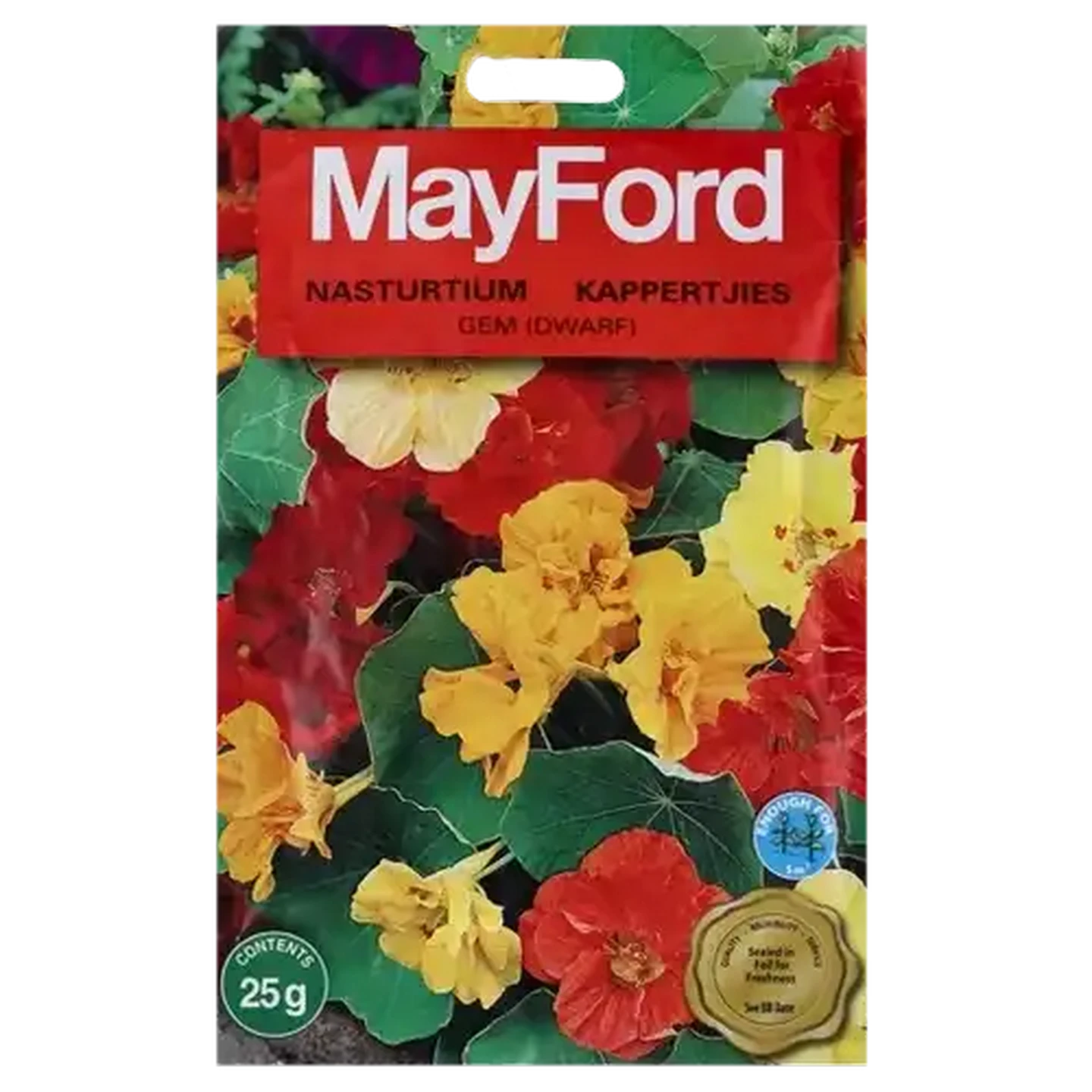 flower ページ Checkers Sixty60 | Mayford Sakata Flower Seeds Packet 25g