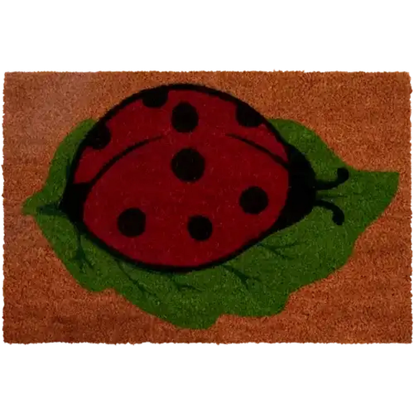 Image of Quality Coil Door Mat 50 x 80cm