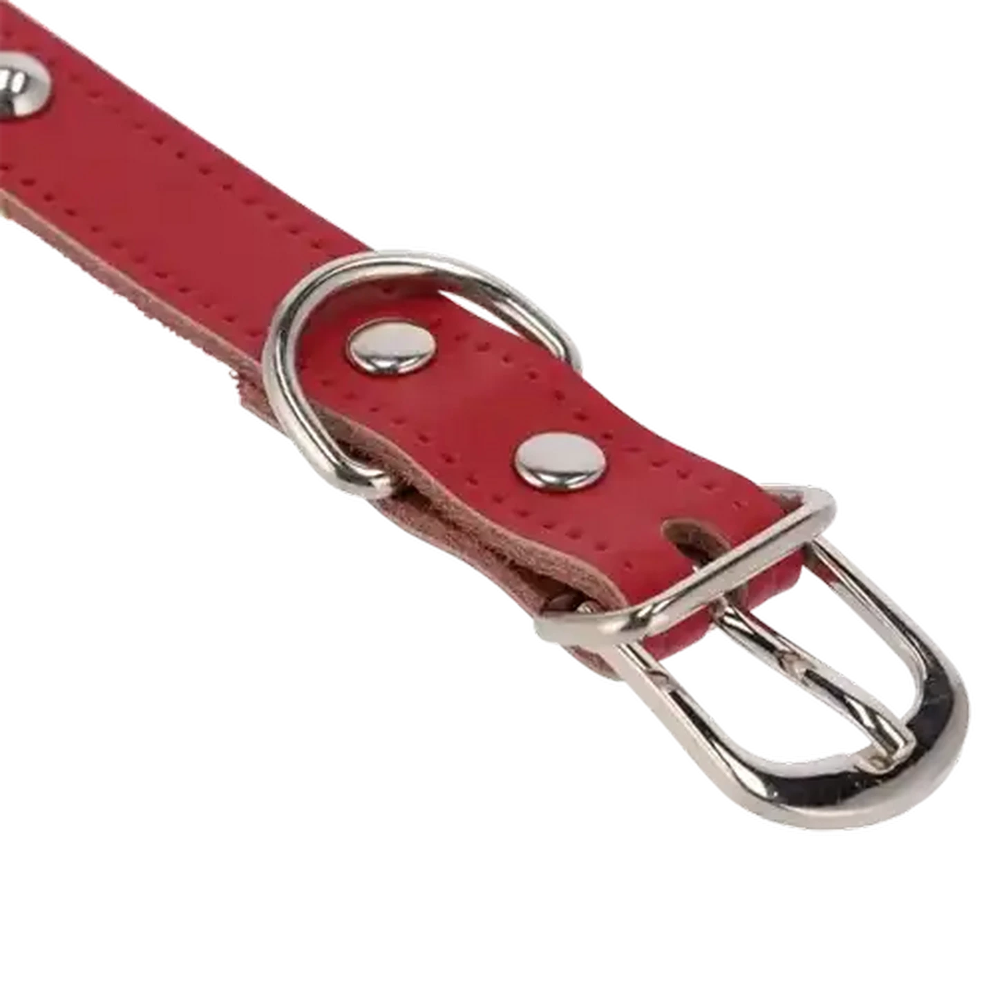 Image of Petshop Small Studded Buckle Leather Look Collar for Dogs 30cm (Colour May Vary)