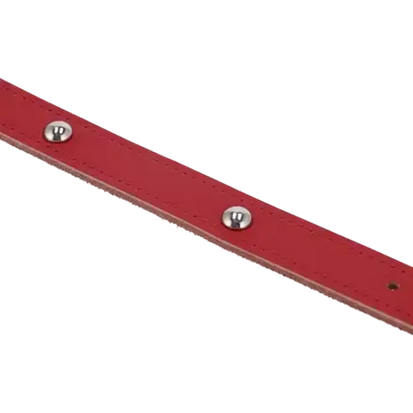 Image of Petshop Small Studded Buckle Leather Look Collar for Dogs 30cm (Colour May Vary)