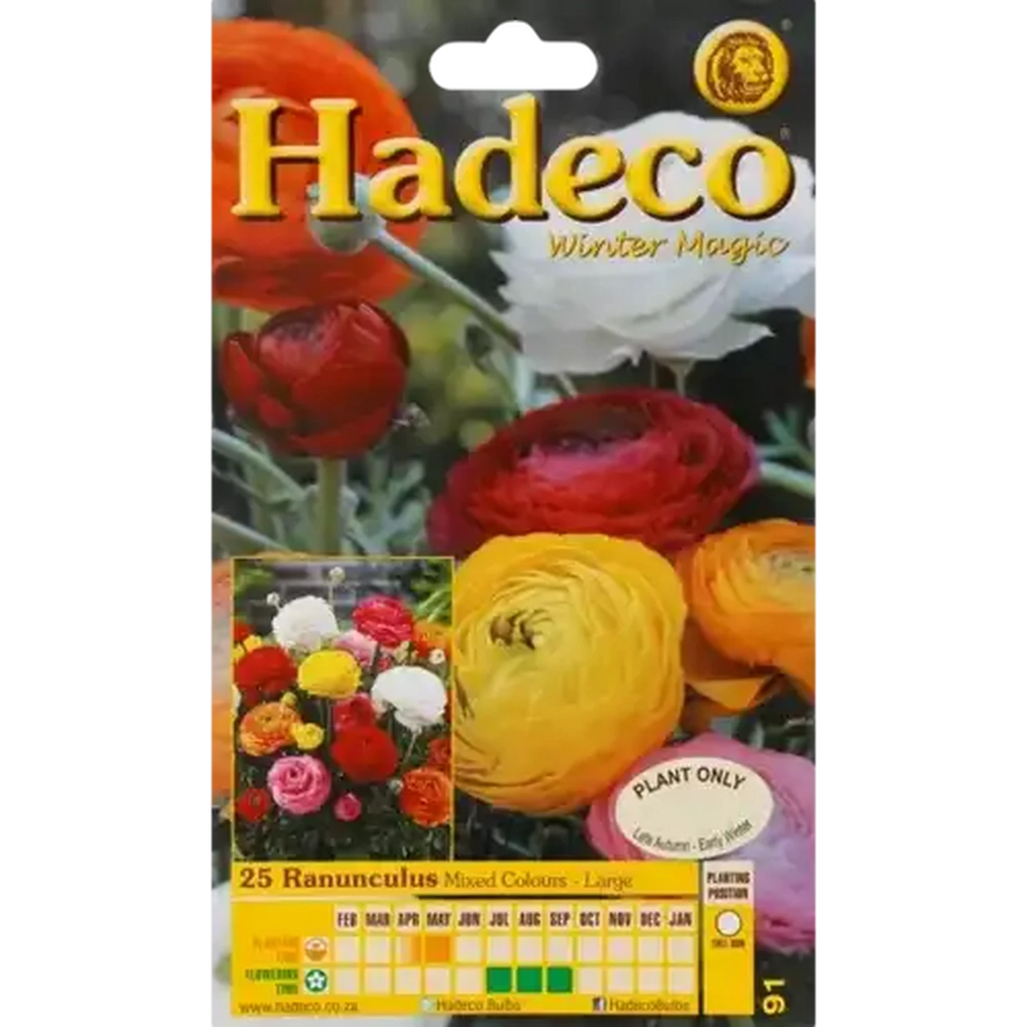 Image of Hadeco Ranunculus Mixed Regular Bulbs 25 Pack