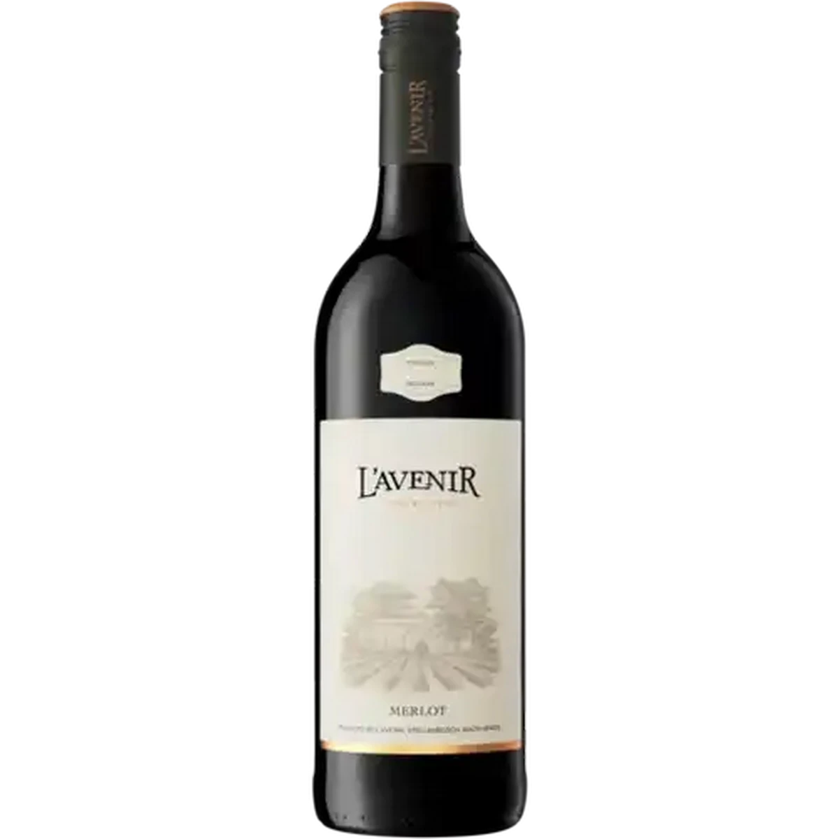 Checkers Sixty60 | L'Avenir Merlot Red Wine Bottle 750ml