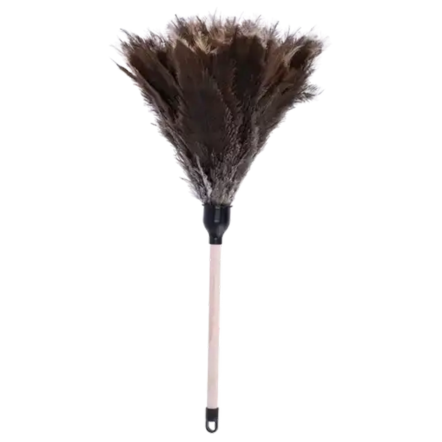 チャー Cher 全身ポスター 大型 594mm×1680mm Checkers Sixty60 | Fancyfeather Ostrich Feather Duster 30cm