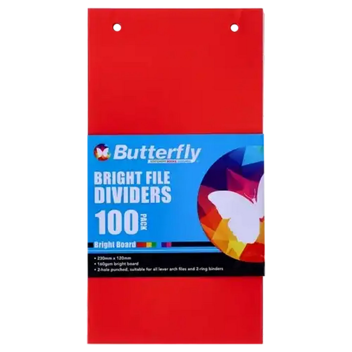 Checkers Sixty60 | Butterfly Bright Mixed Strip File Dividers 100