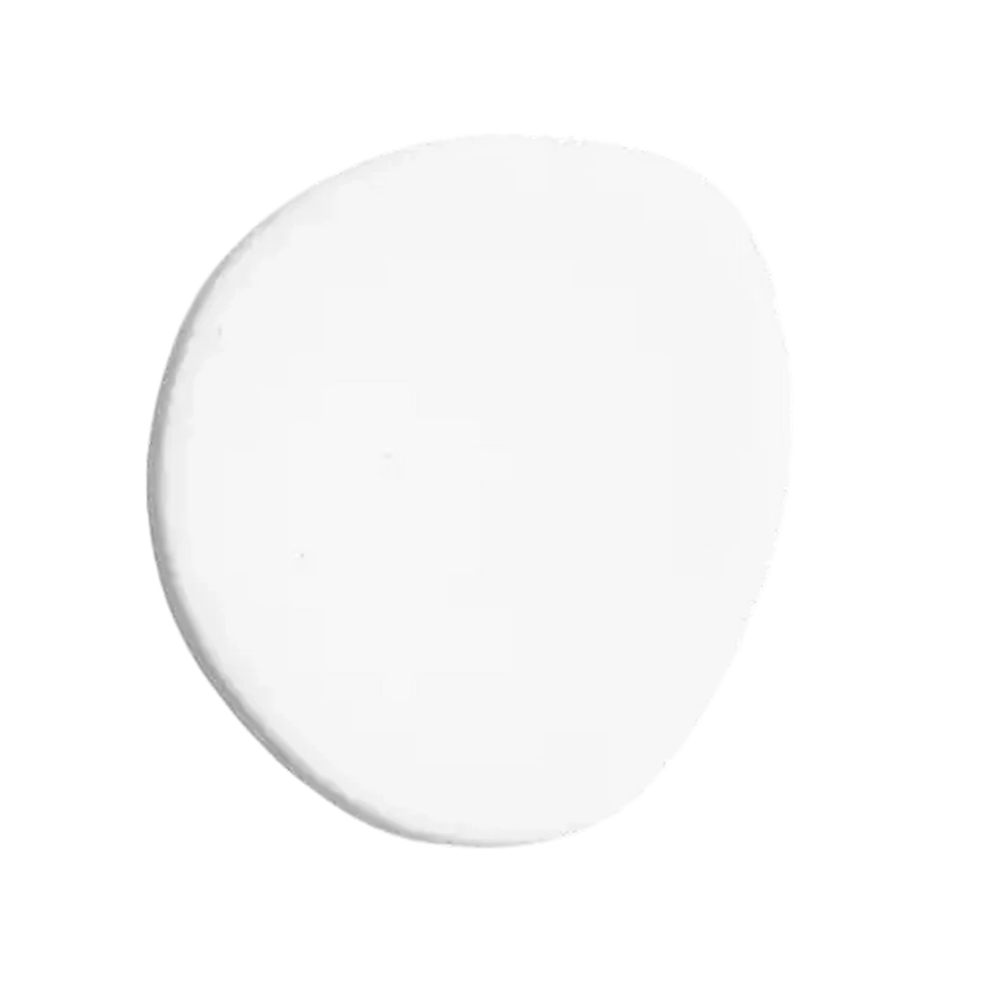 Image of Promac Paints ECoat Gloss Enamel White Paint 1L