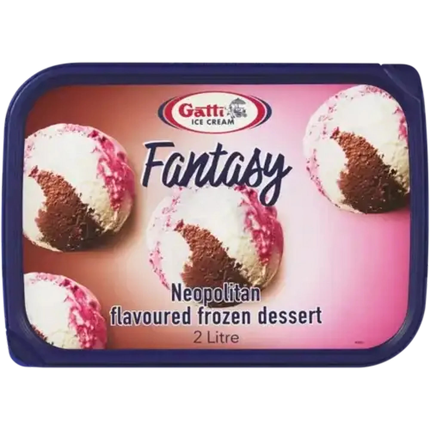 Checkers Sixty60 | Gatti Ice Cream Dairy Fresh Neopolitan