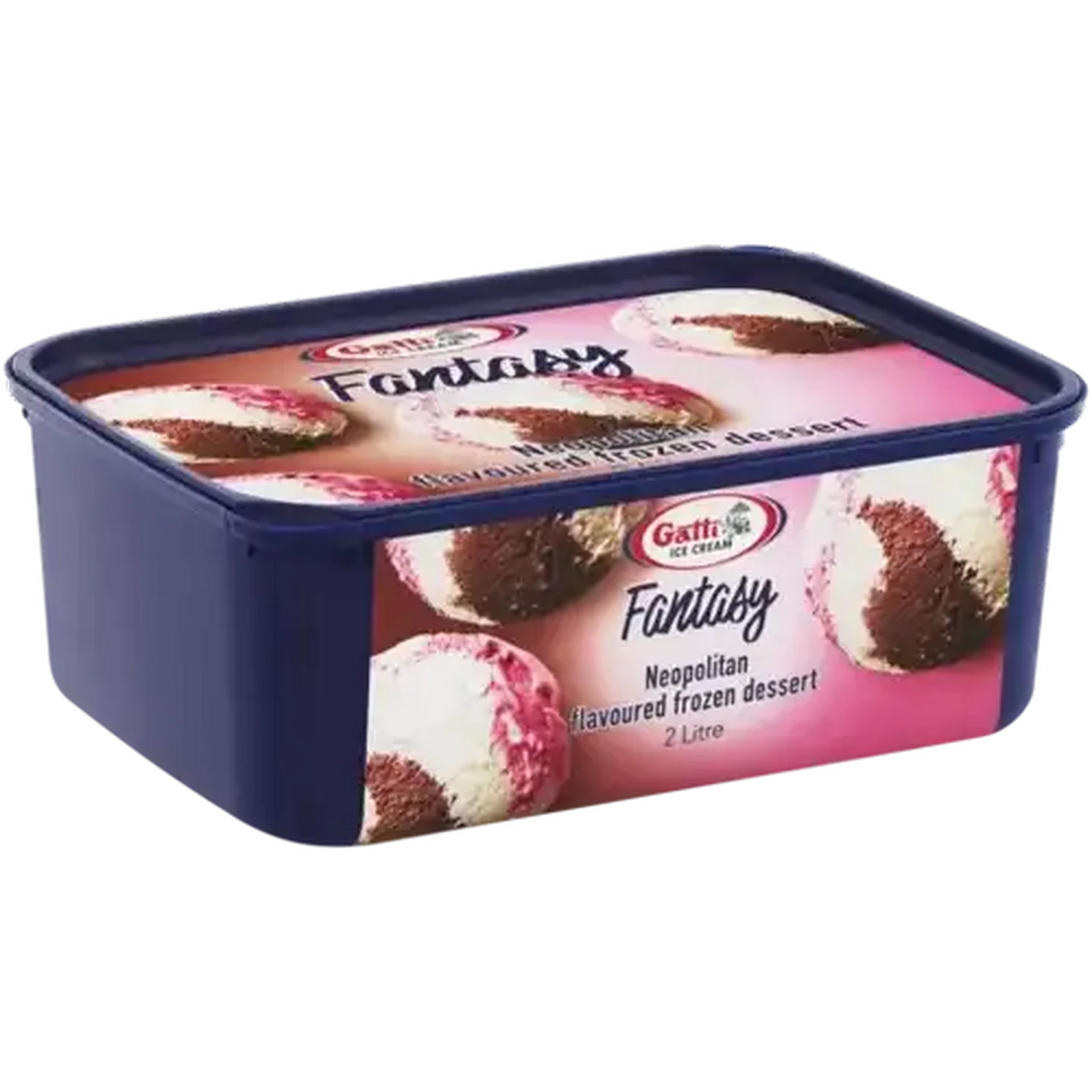 Checkers Sixty60 | Gatti Ice Cream Dairy Fresh Neopolitan