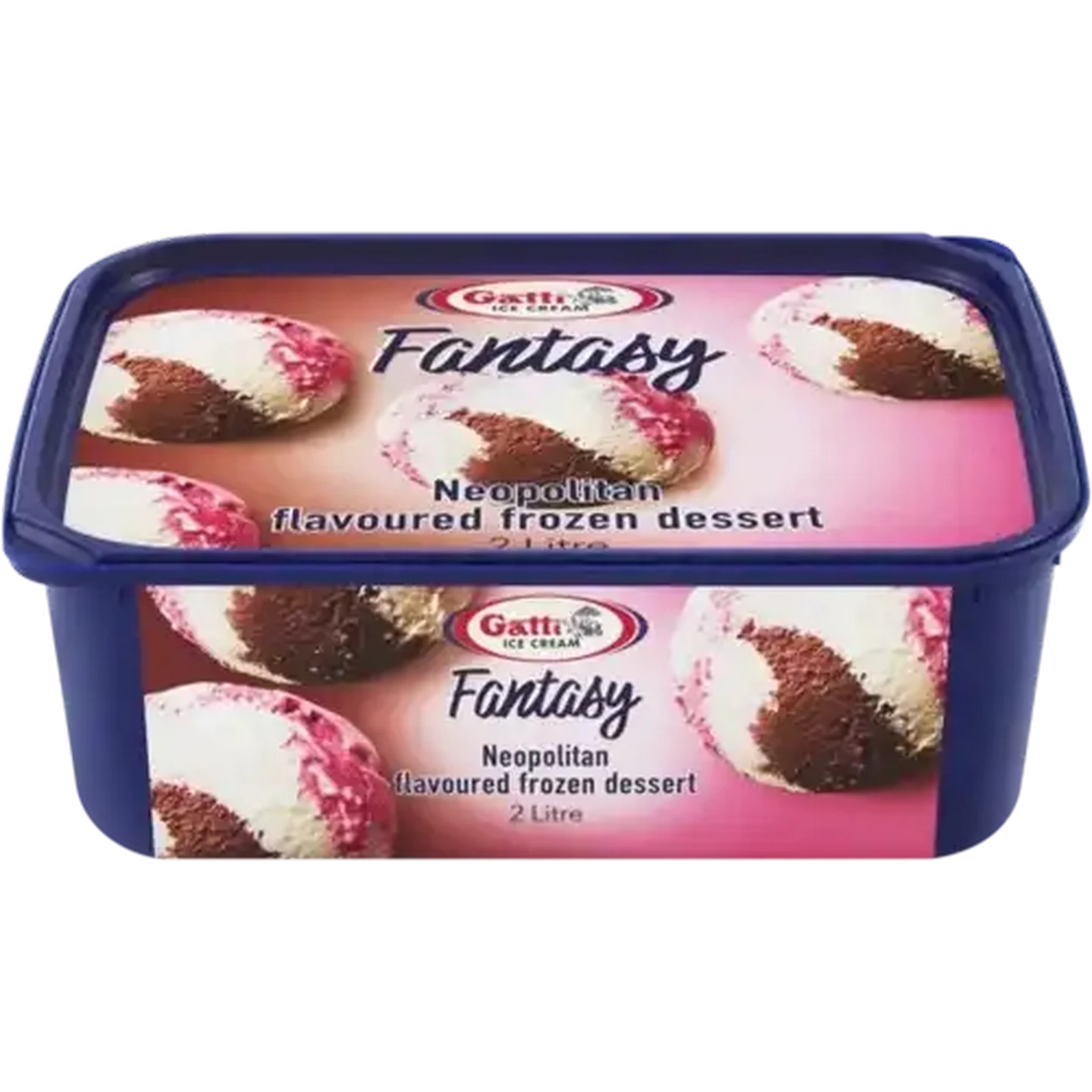 Checkers Sixty60 | Gatti Ice Cream Dairy Fresh Neopolitan