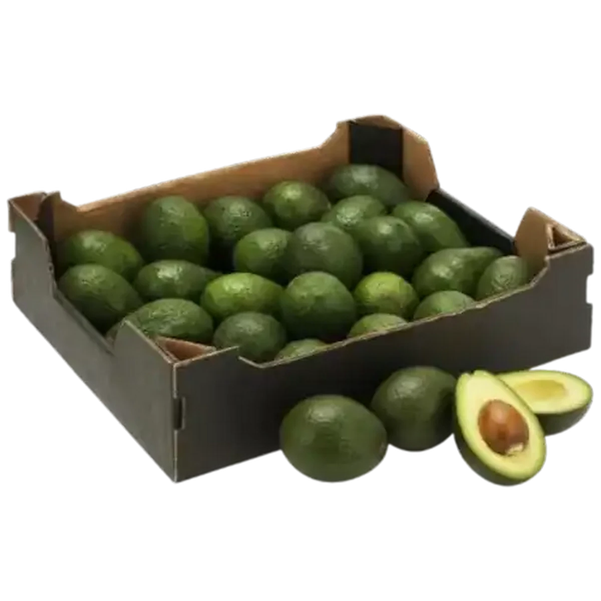 (avocado)【4年下 理社国11-14回　切断穴あけなし】 Checkers Sixty60 | Avocados 4kg