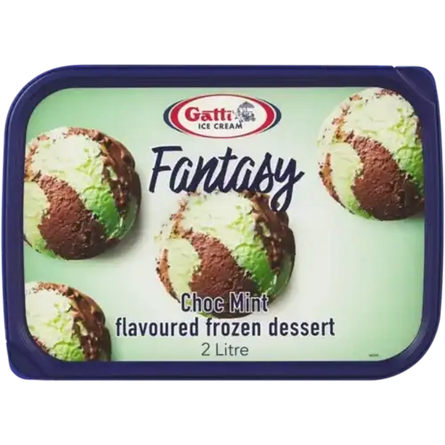 Checkers Sixty60 | Gatti Ice Cream Chocolate Mint Flavoured Ice
