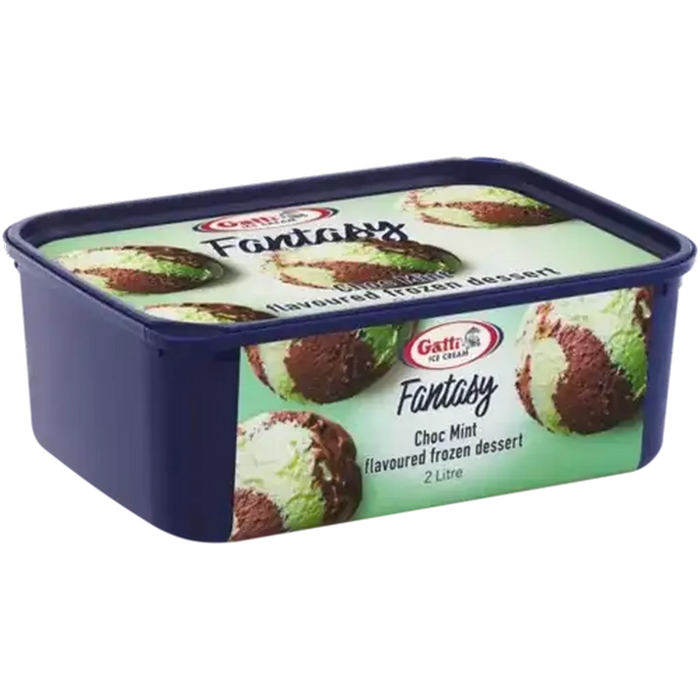 Checkers Sixty60 | Gatti Ice Cream Chocolate Mint Flavoured Ice