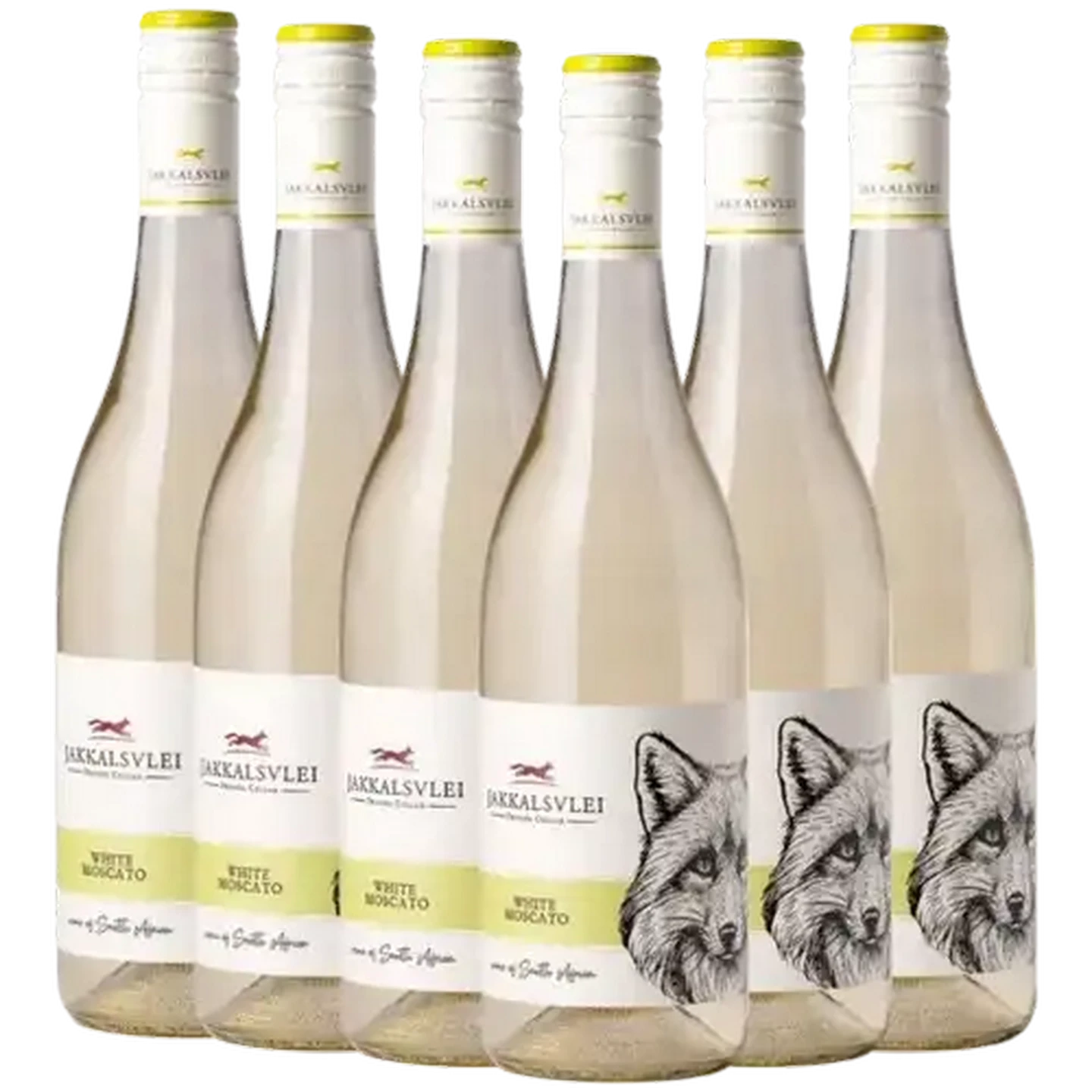 Checkers Sixty60 | Jakkalsvlei White Moscato White Wine Bottles 6