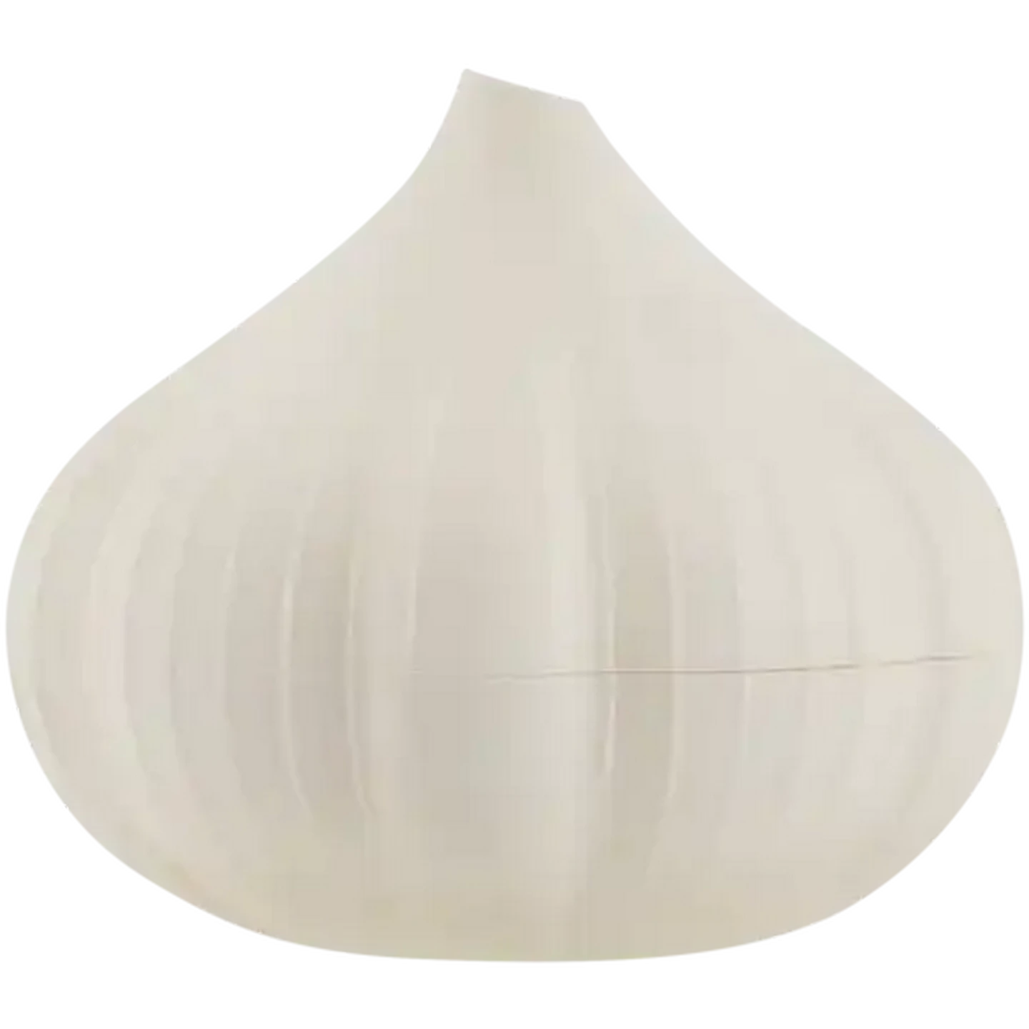 Image of Hutzler Garlic Food Saver Container