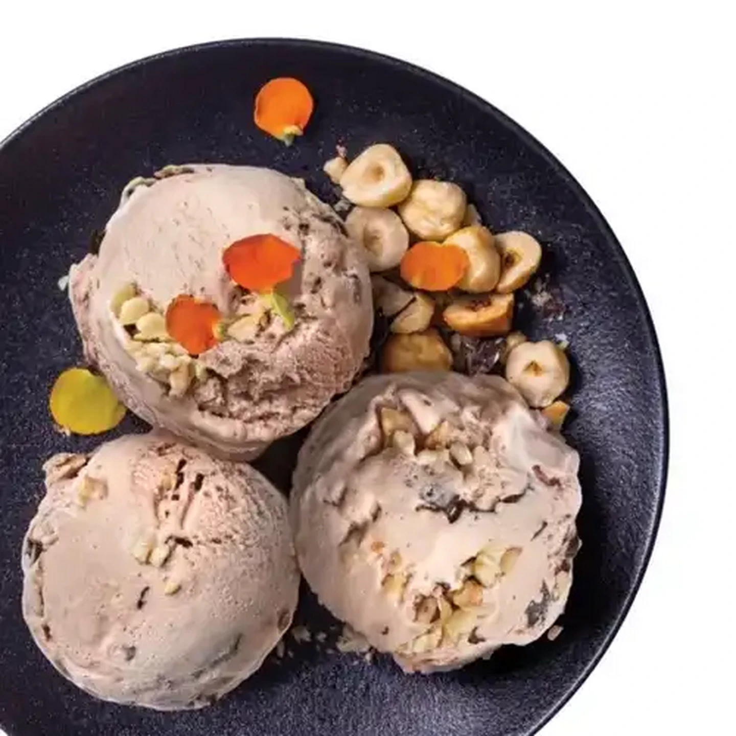 Image of Forage And Feast Hazelnut & Chocolate Dairy Ice Cream 1L