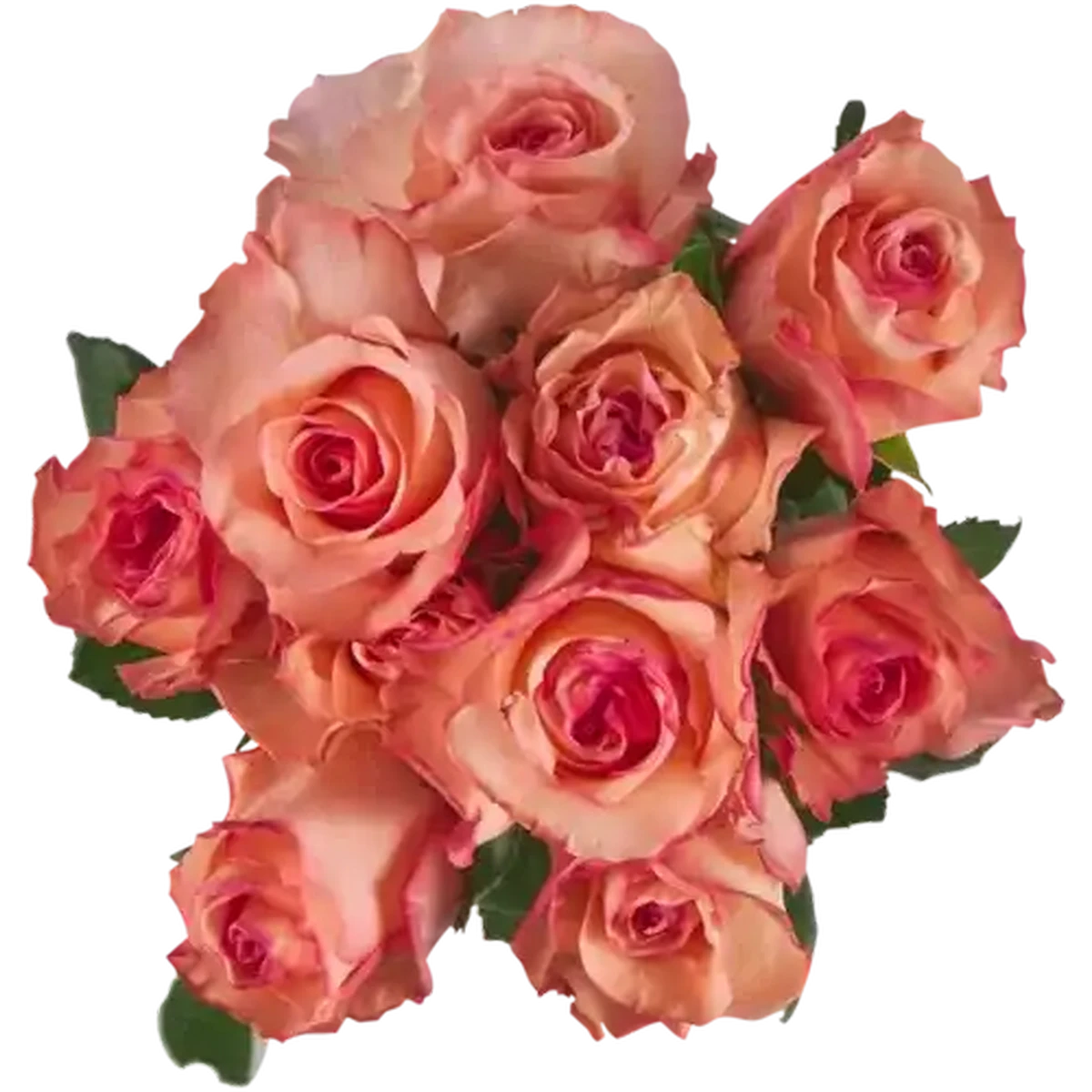 Checkers Sixty60 | Speciality Rose Bouquet 1s (Vase Not Included