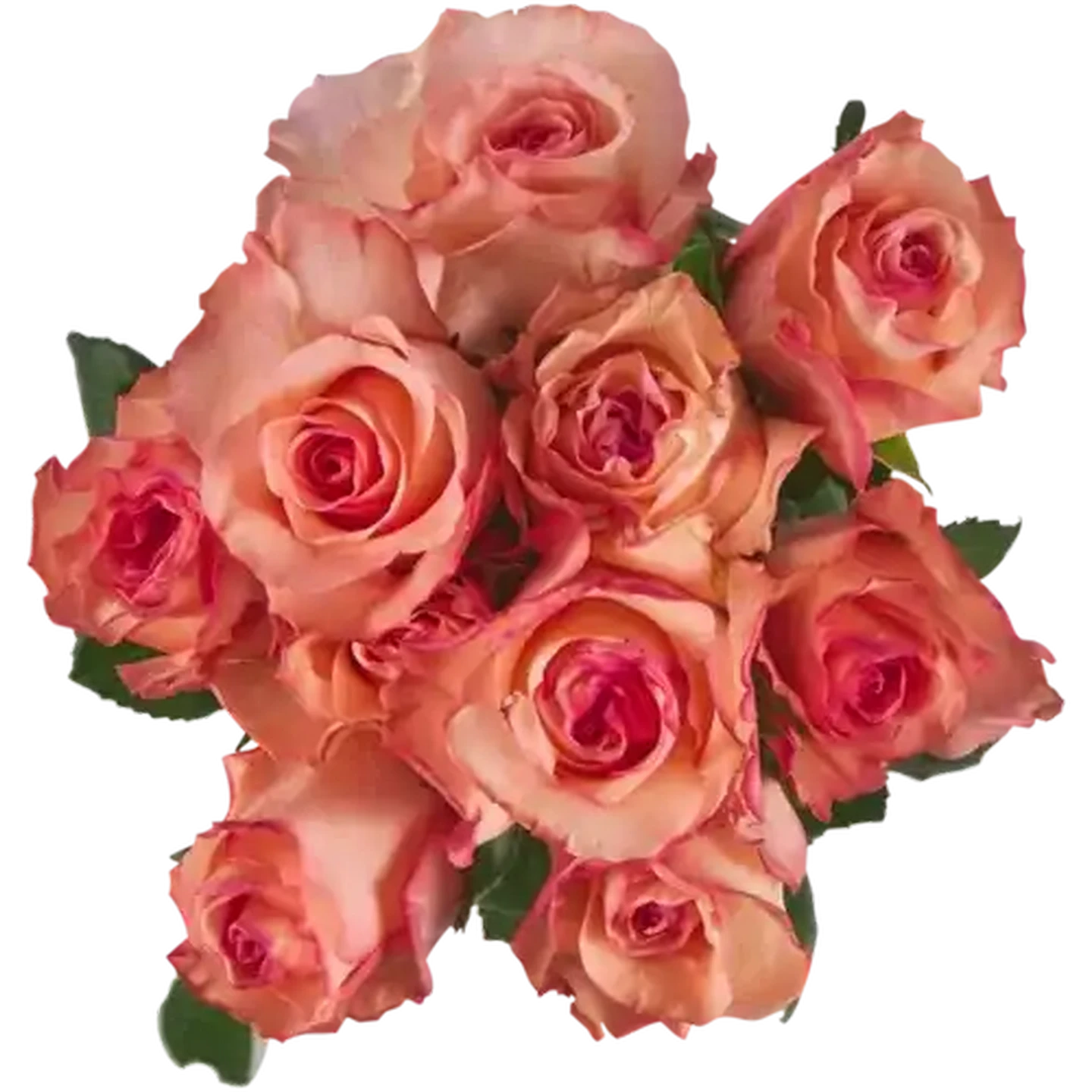 Shoprite ZA | Speciality Rose Bouquet 1s (Vase Not Included