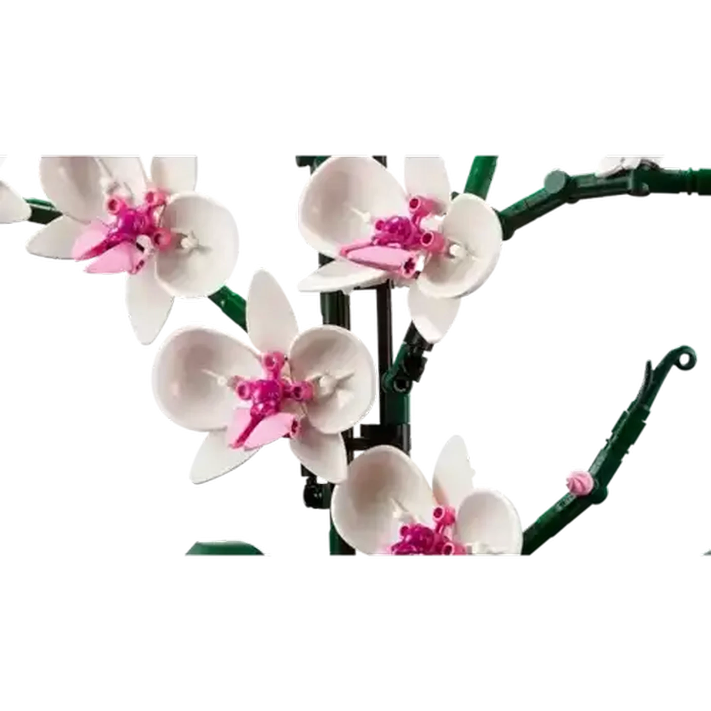 Checkers Sixty60 | LEGO® Botanicals Orchid (10311)