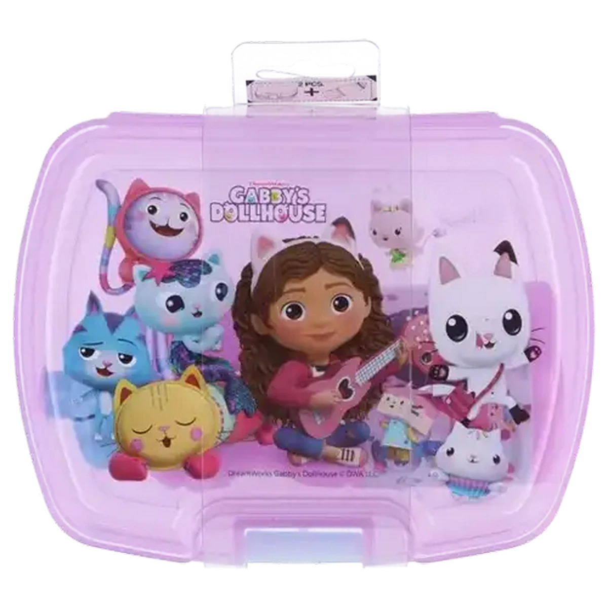 Checkers Sixty60 | Gabby's Dollhouse Lunch Box & Bottle Set 2 Pack