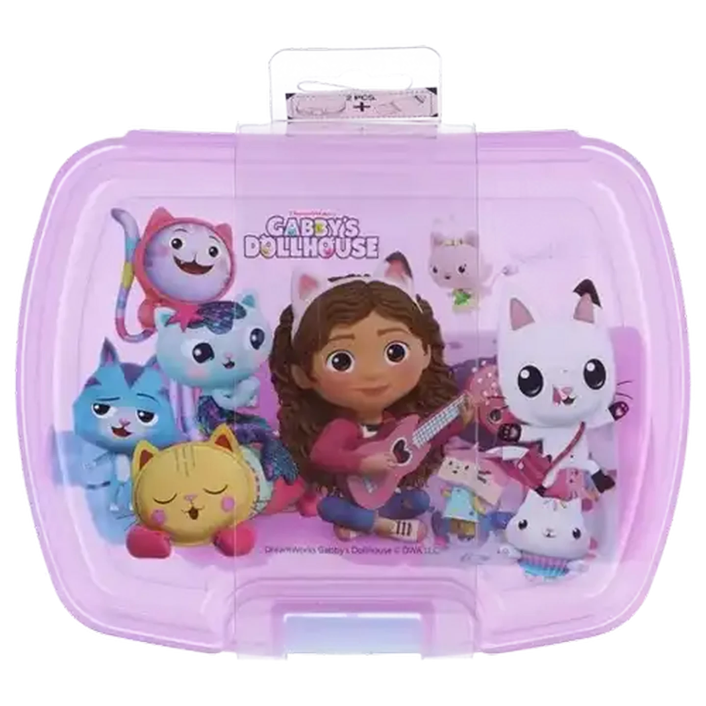 Checkers Sixty60 | Gabby's Dollhouse Lunch Box & Bottle Set 2-Pack