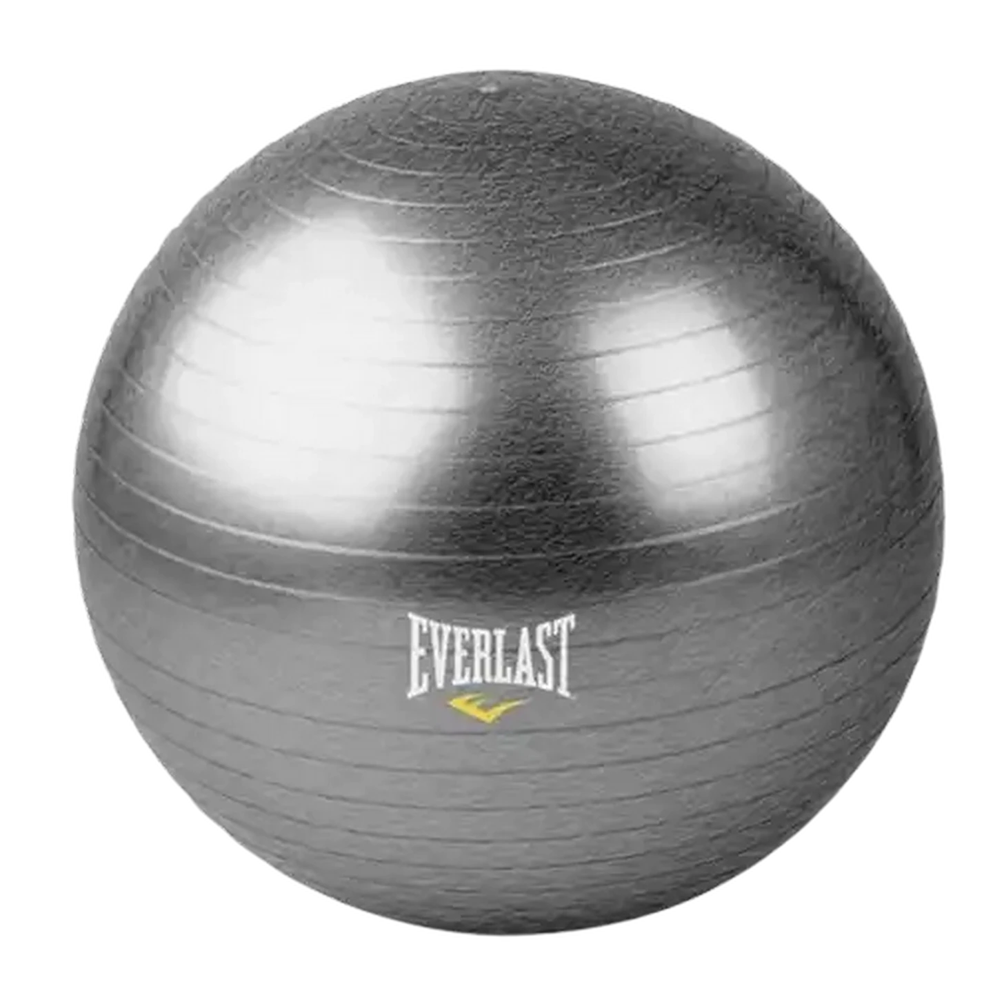 Checkers Sixty60 | Everlast Anti-Burst Gym Ball 55cm