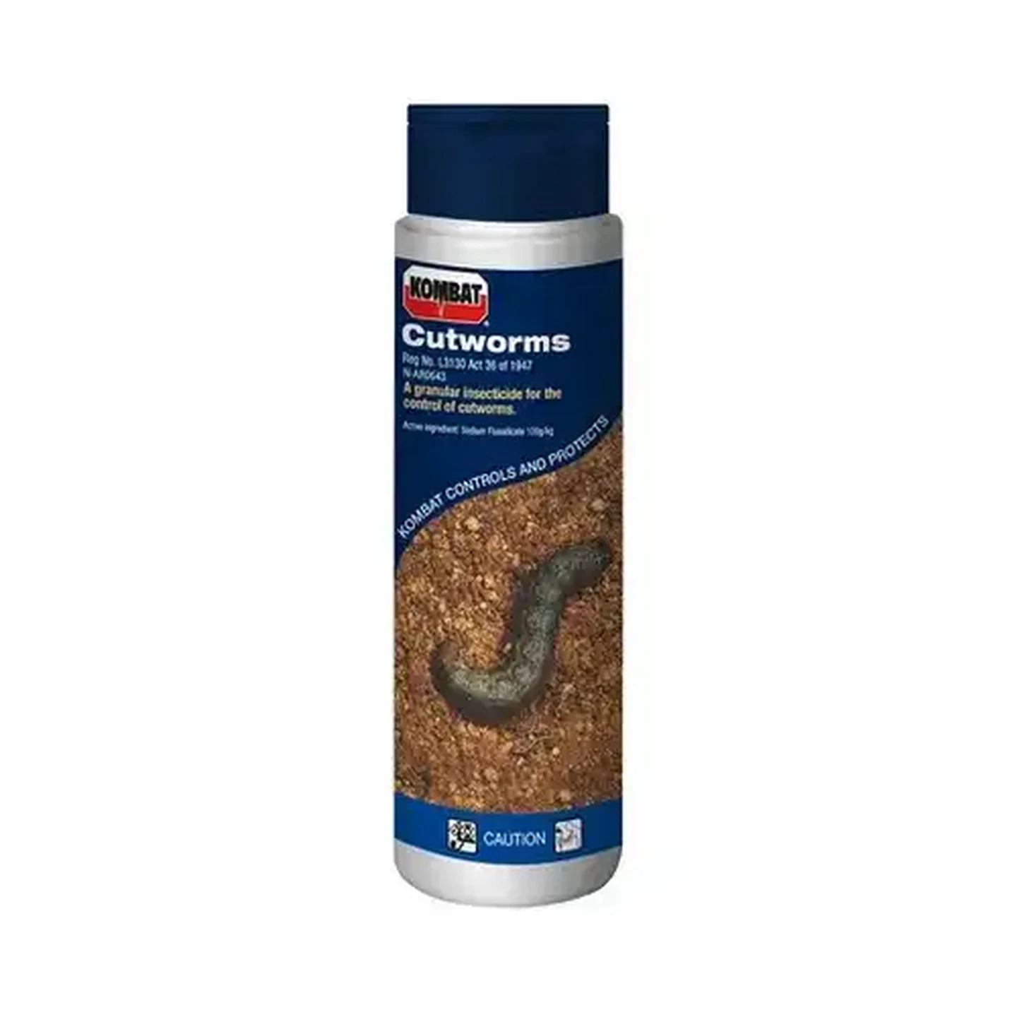 Image of Kombat Cutworm