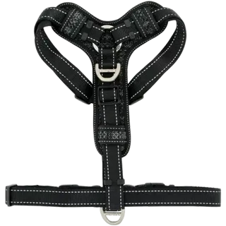 Checkers Sixty60 | Rogz Large Blue Control Dog Harness