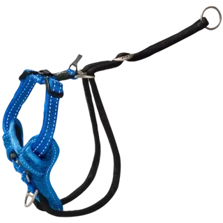 Checkers Sixty60 | Rogz Large Black Stop-Pull Dog Harness