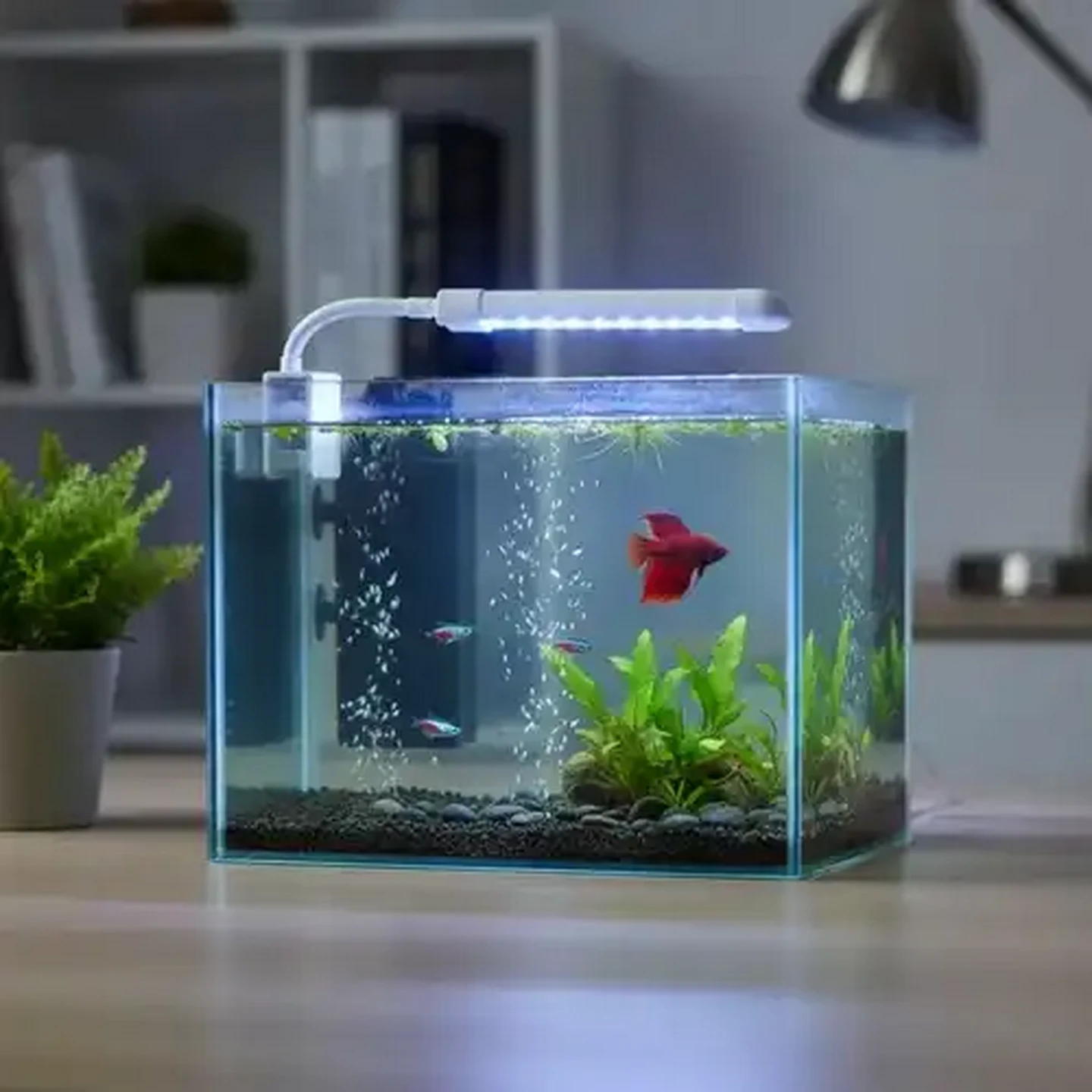 Checkers Sixty60 | Daro Fish Tank LED Light 21cm 6W