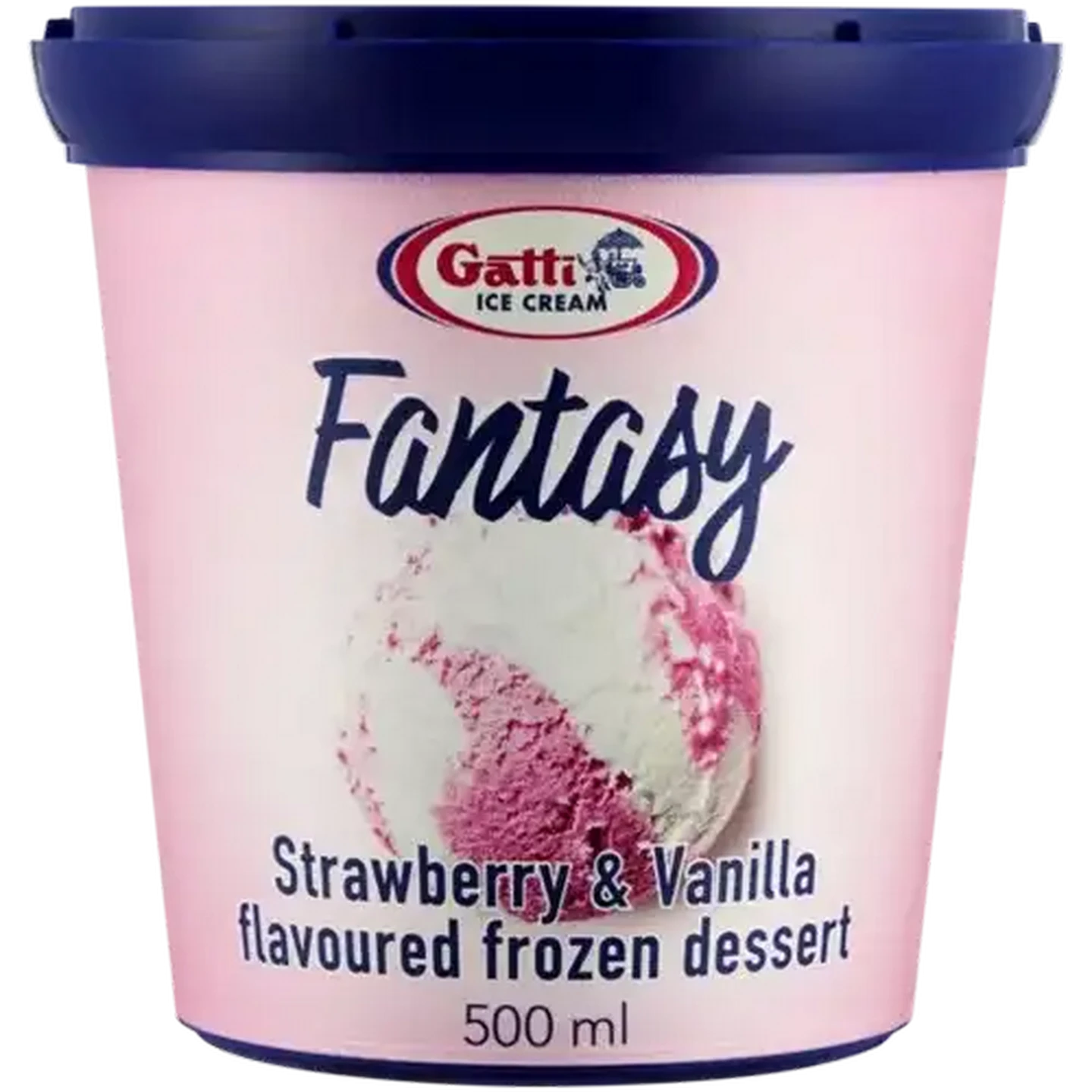 Checkers Sixty60 | Gatti Ice Cream Fantasy Strawberry & Vanilla