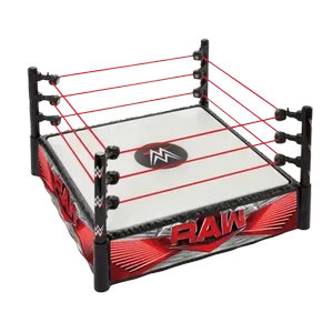 Checkers Sixty60 | WWE Superstar Ring with Labels for Main Event