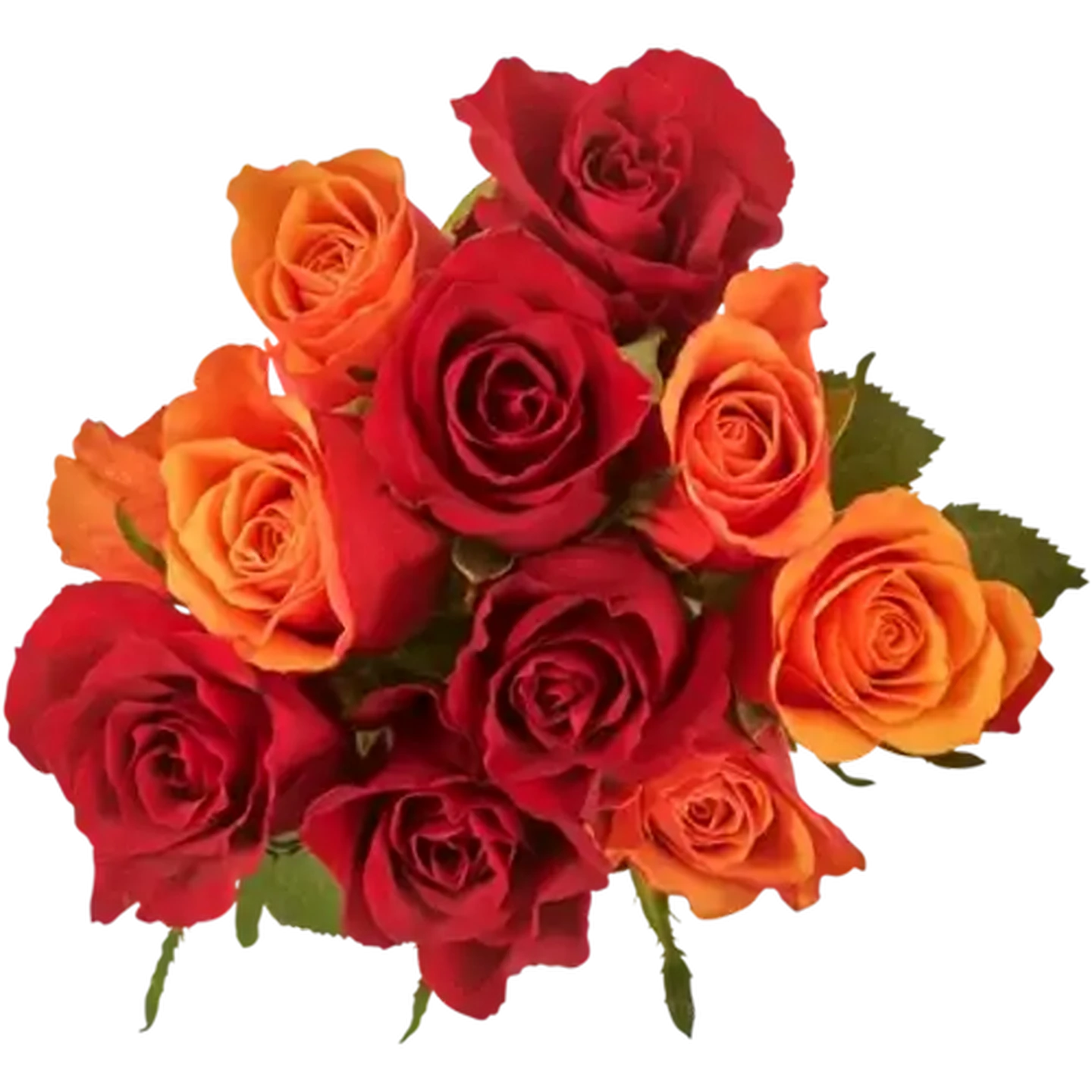 Checkers Sixty60 | Bright Rose Flower Selection (Colour May Vary)