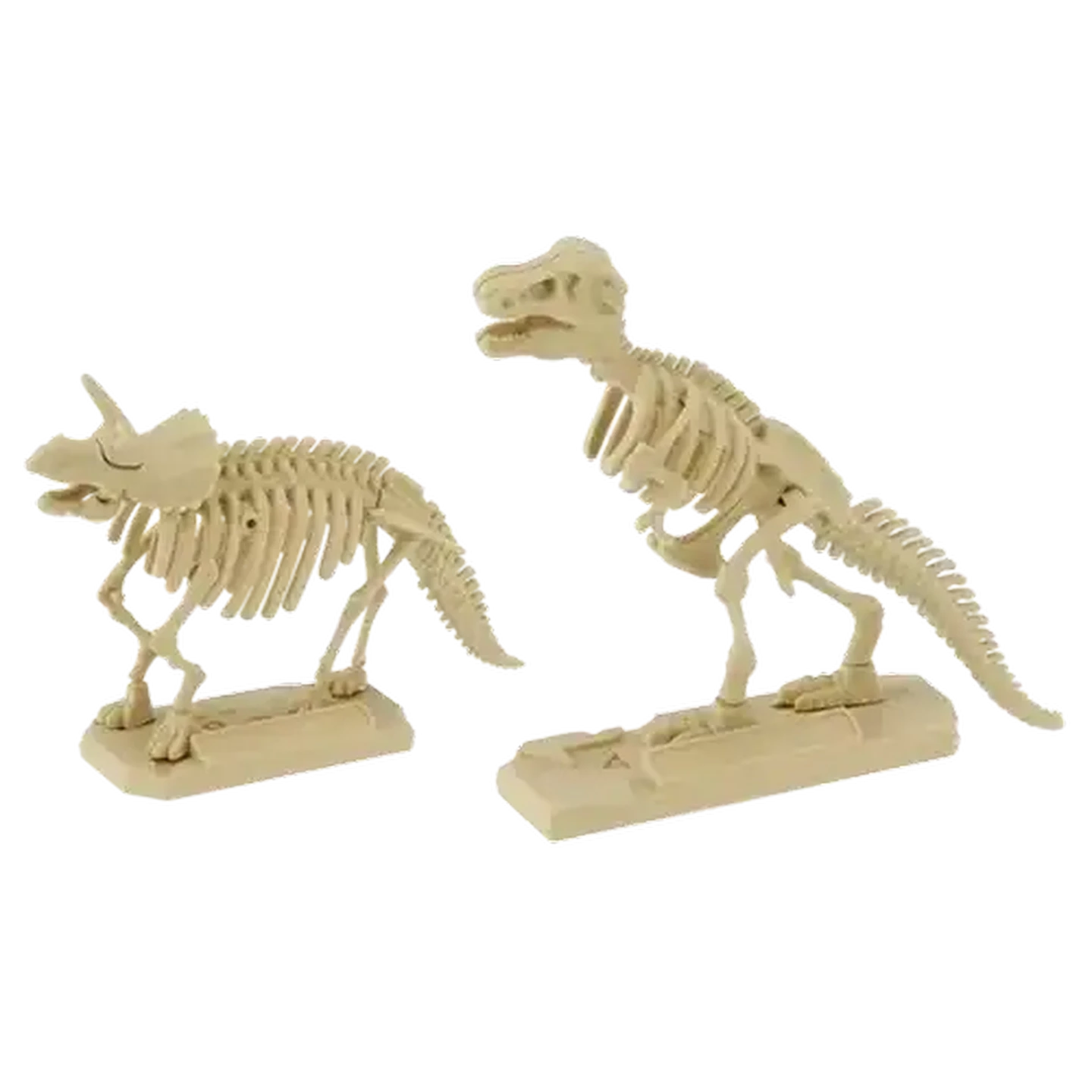 Checkers Sixty60 | Happy Line Dino Troop Extreme Dino Skull with