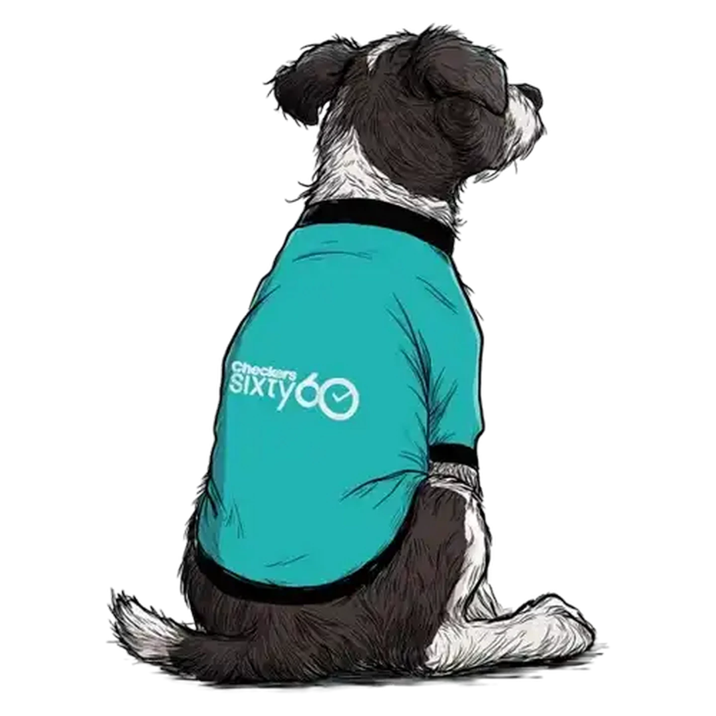 Image of Sixty60 Small Dog Sweater