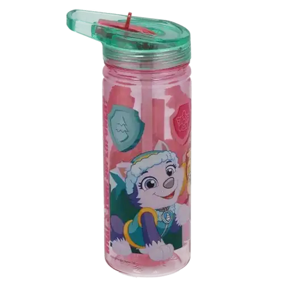 Checkers Sixty60 | Paw Patrol Power Ecozen Bottle 580ml