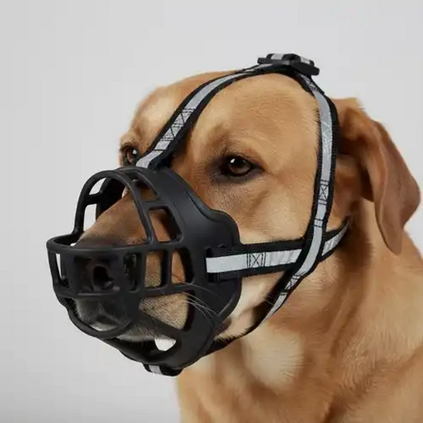 Checkers Sixty60 | Daro Dog Muzzle Medium
