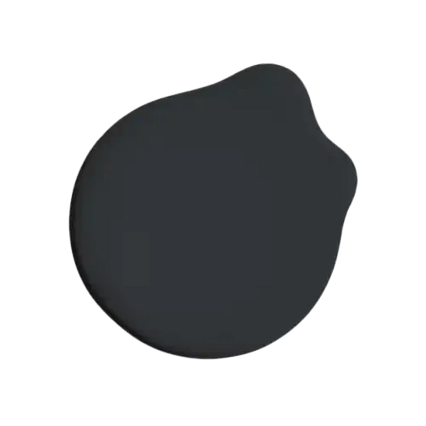 Image of Promac Paints ECoat Roof & All Black Paint 20L