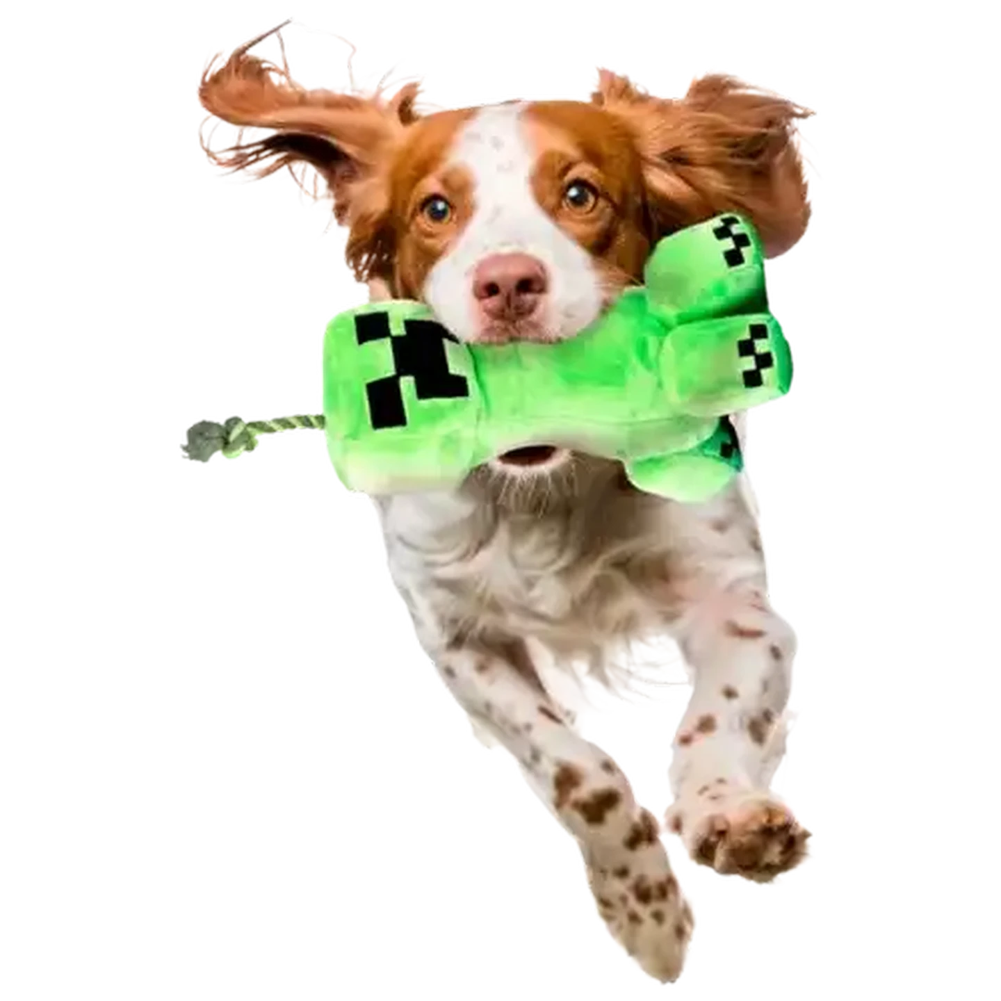 Checkers Sixty60 | Minecraft Creeper Dog Toy 20cm