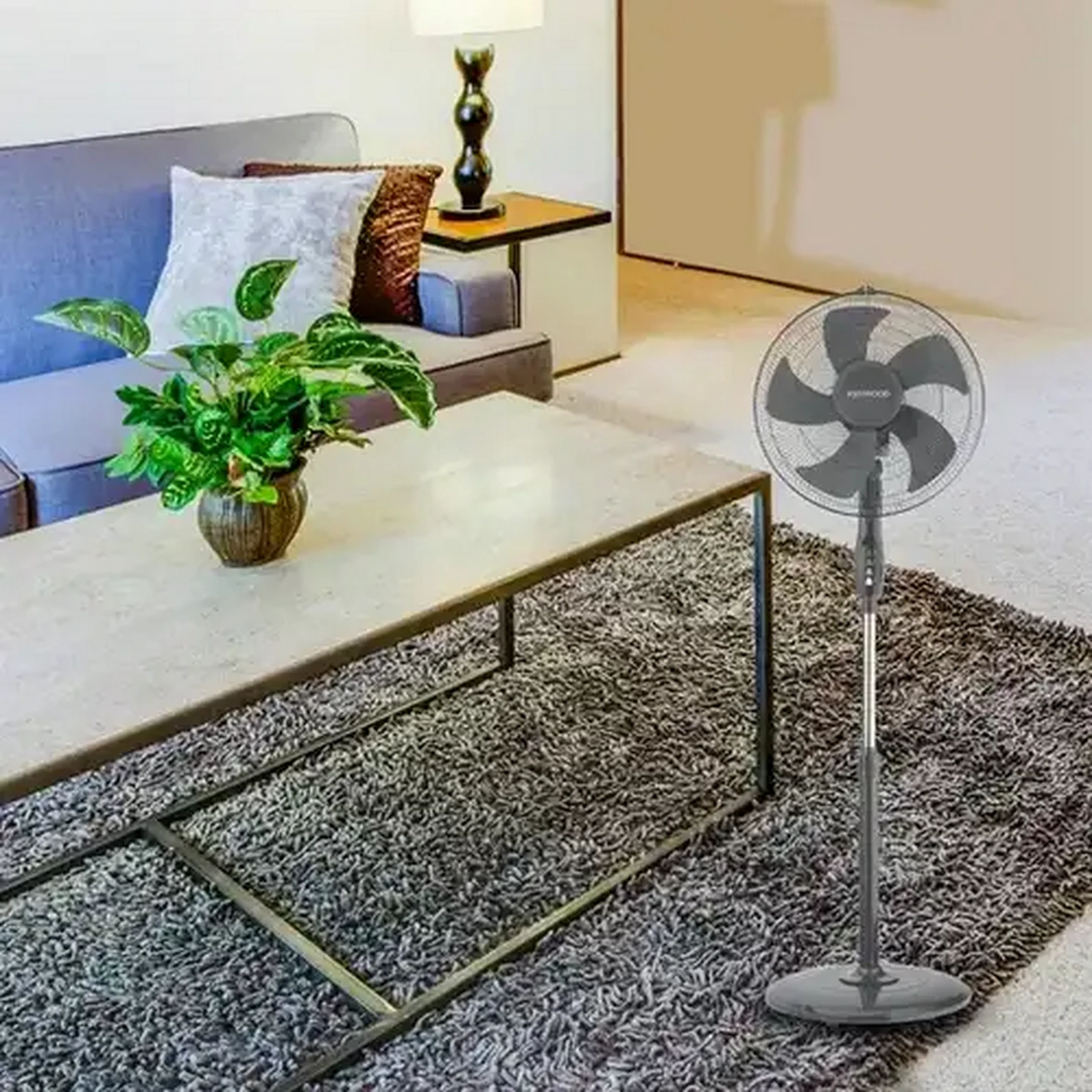 Checkers Sixty60 | Kenwood Appliances Velocity Pedestal Fan