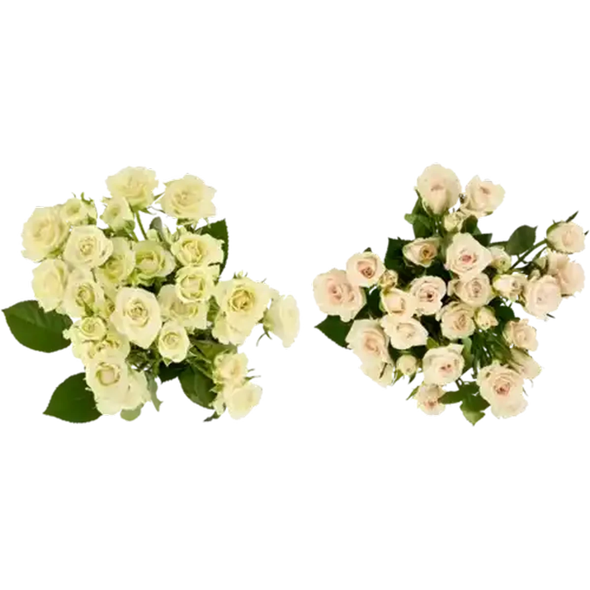69e820ce4ee45bea2a8fe115?width