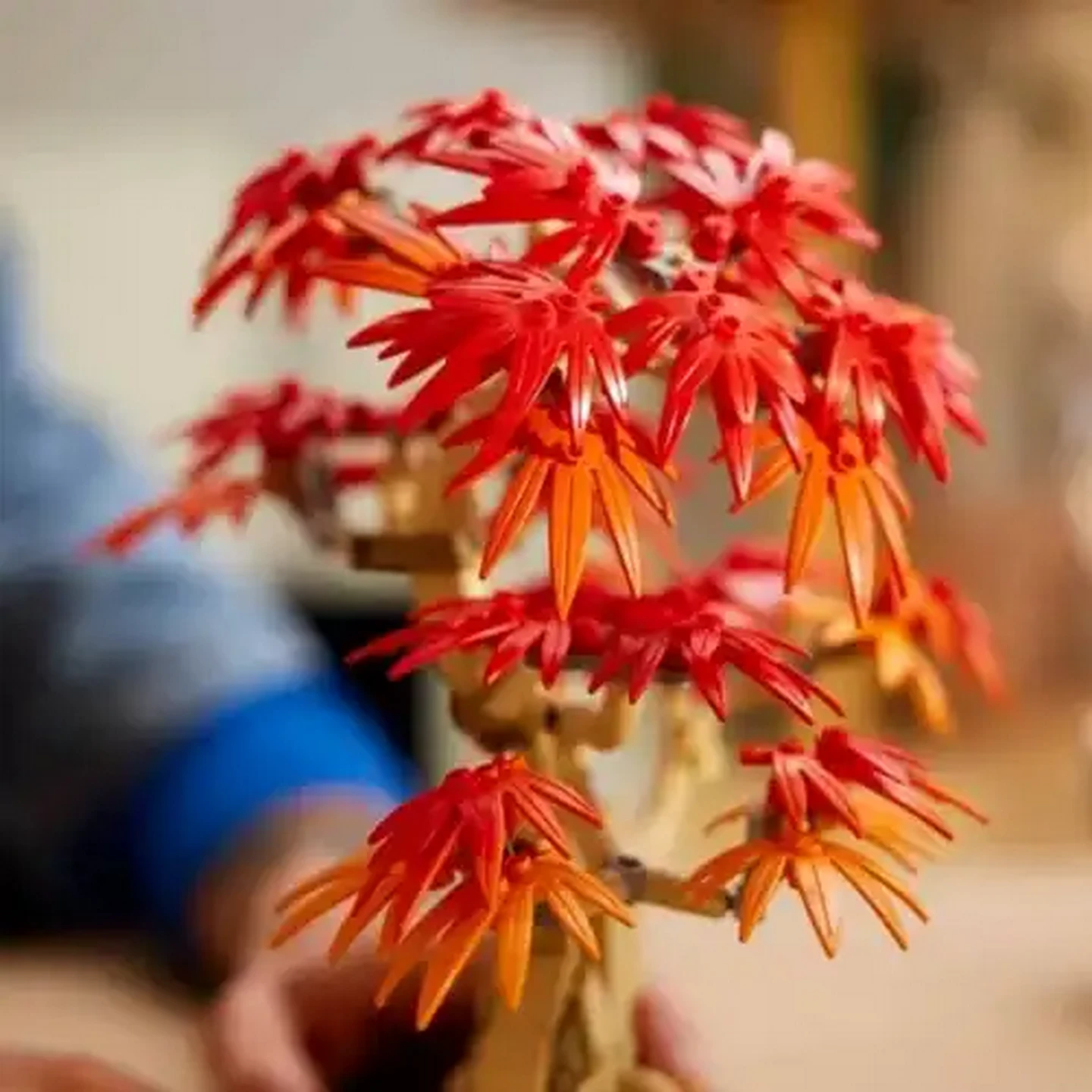 Checkers Sixty60 | LEGO® Botanicals Japanese Red Maple Bonsai Tree